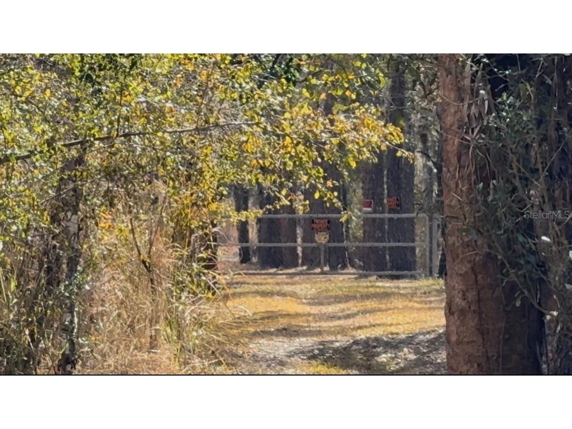 4051-3803 Dixiana Drive Bowling Green FL 33834 - PEACE RIVER P4937849 image6
