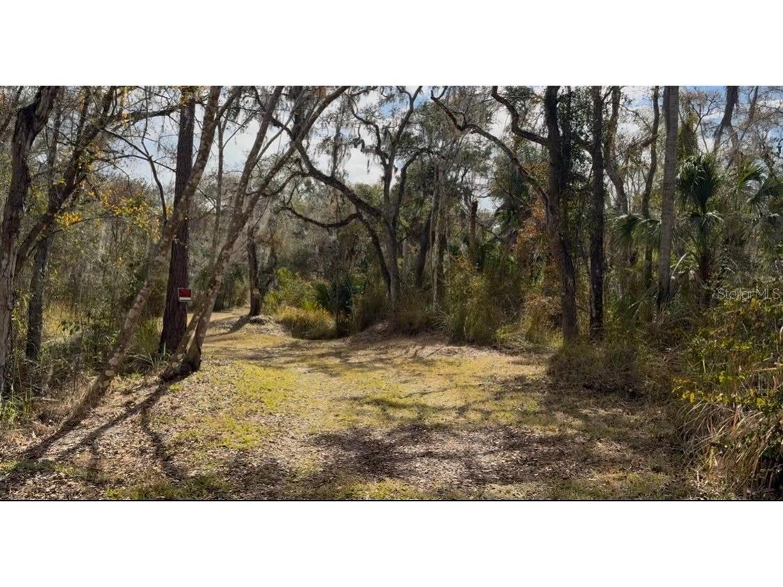 4051-3803 Dixiana Drive Bowling Green FL 33834 - PEACE RIVER P4937849 image7