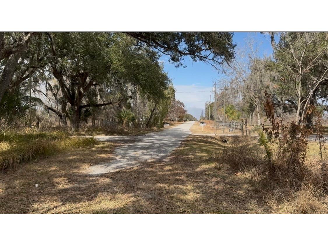 4051-3803 Dixiana Drive Bowling Green FL 33834 - PEACE RIVER P4937849 image8
