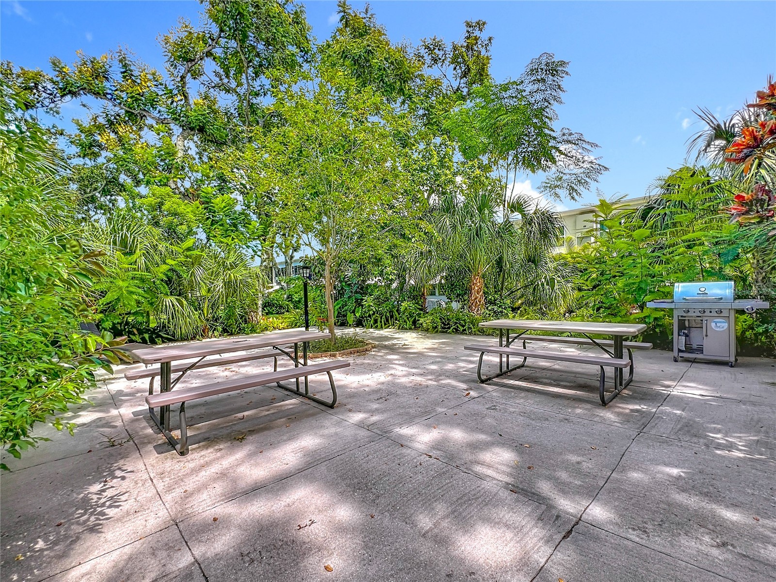 4051 58th Street N #237C Saint Petersburg FL 33709 TB8428365 image10