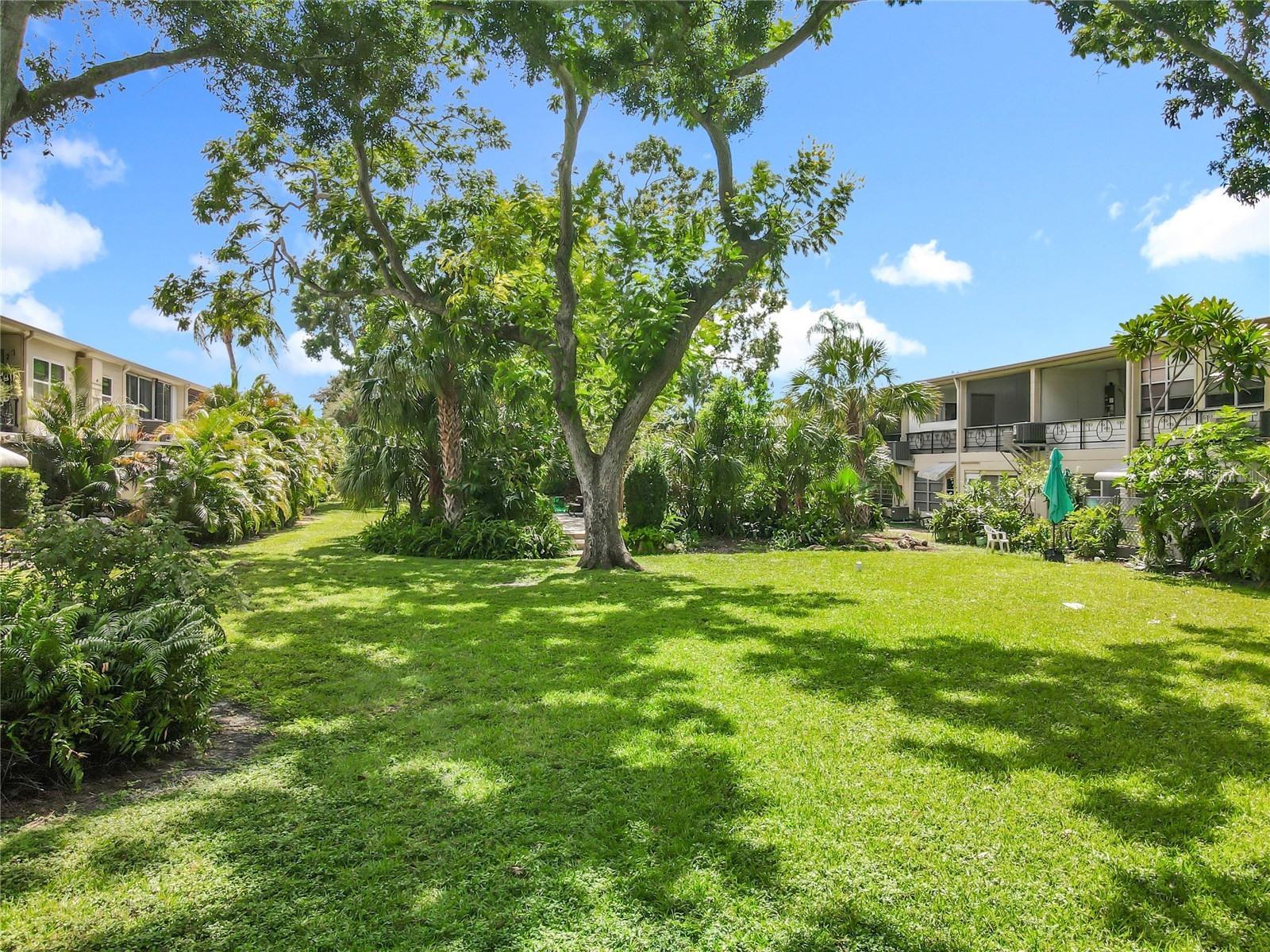 4051 58th Street N #237C Saint Petersburg FL 33709 TB8428365 image17