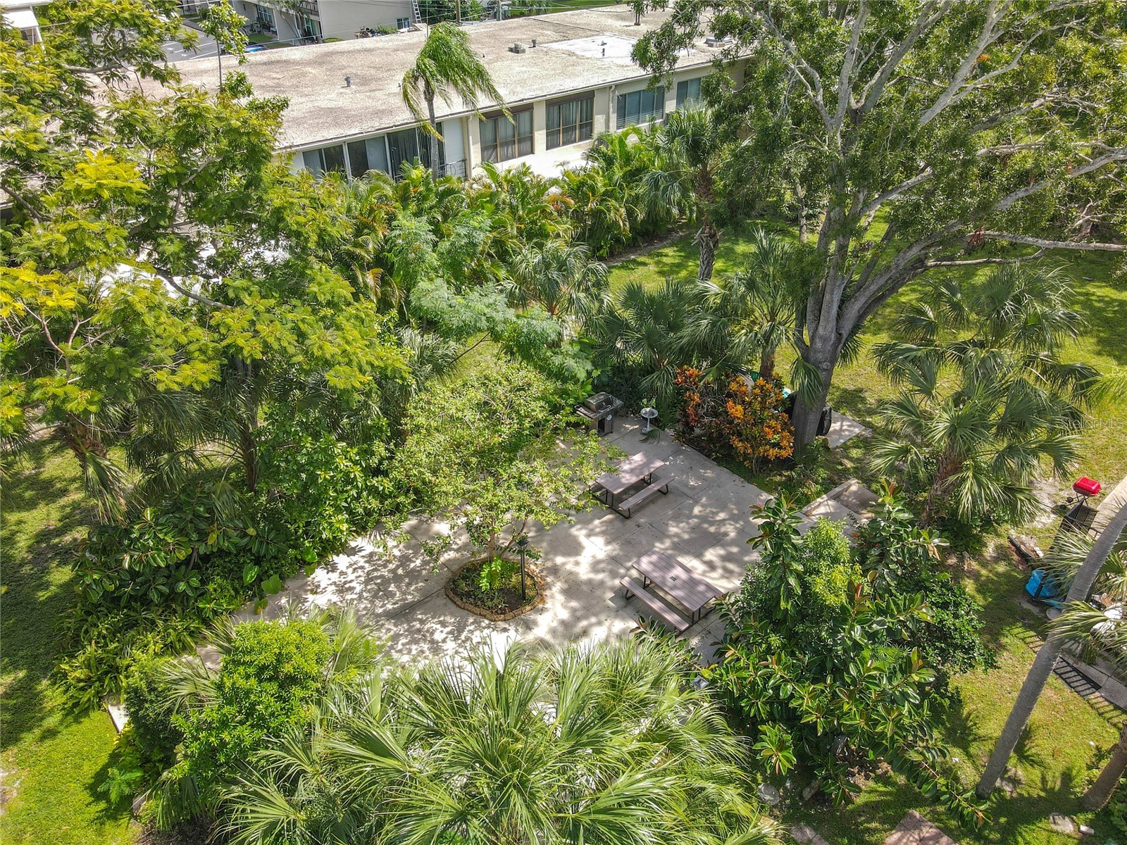 4051 58th Street N #237C Saint Petersburg FL 33709 TB8428365 image19