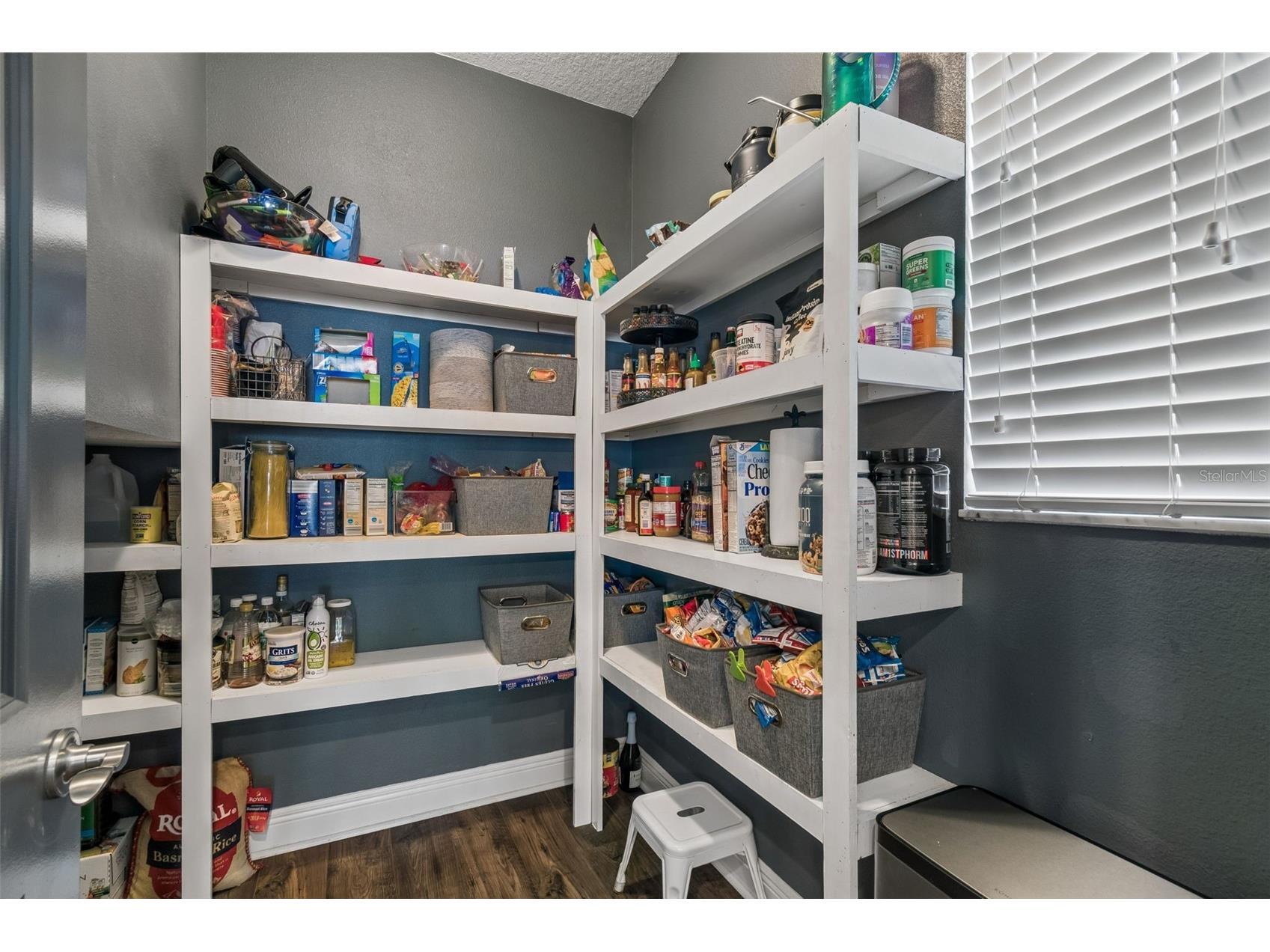 4051 Mellon Drive Odessa FL 33556 W7884830 image35