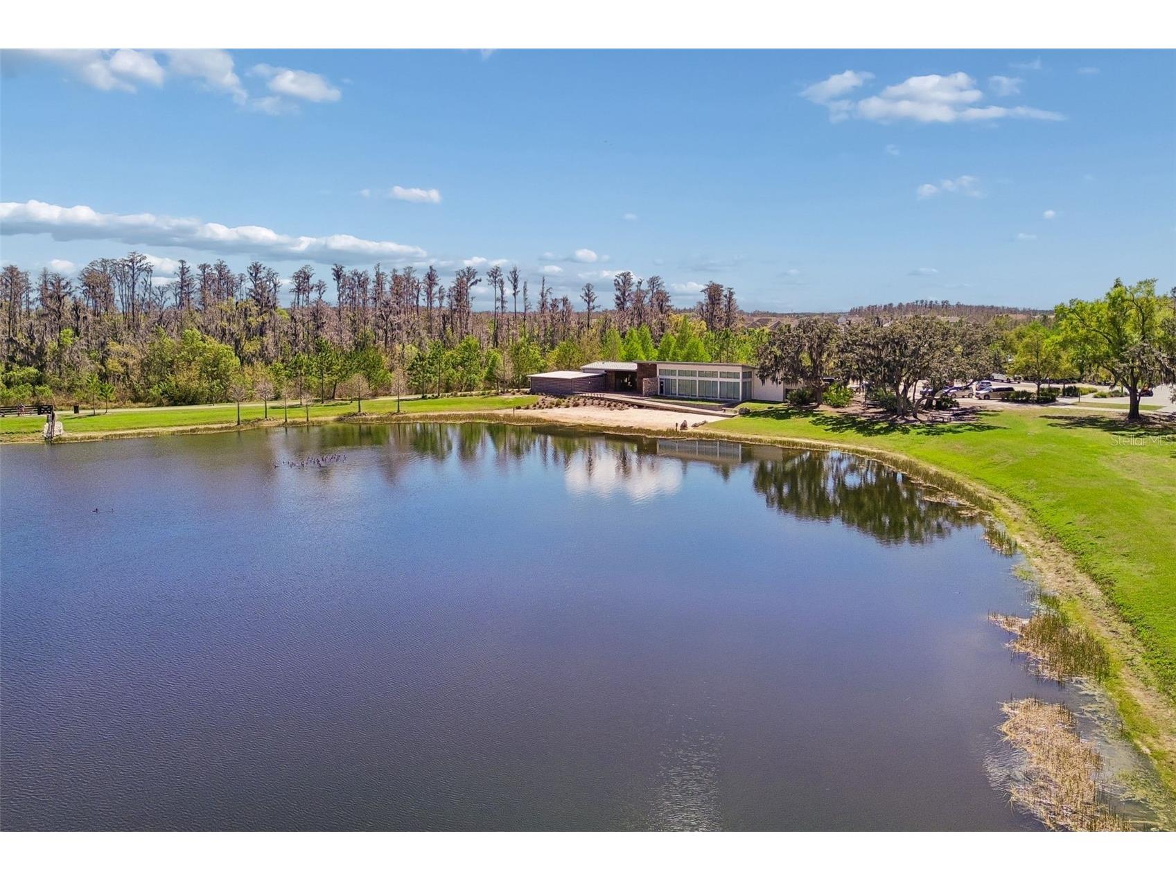 4051 Mellon Drive Odessa FL 33556 W7884830 image87
