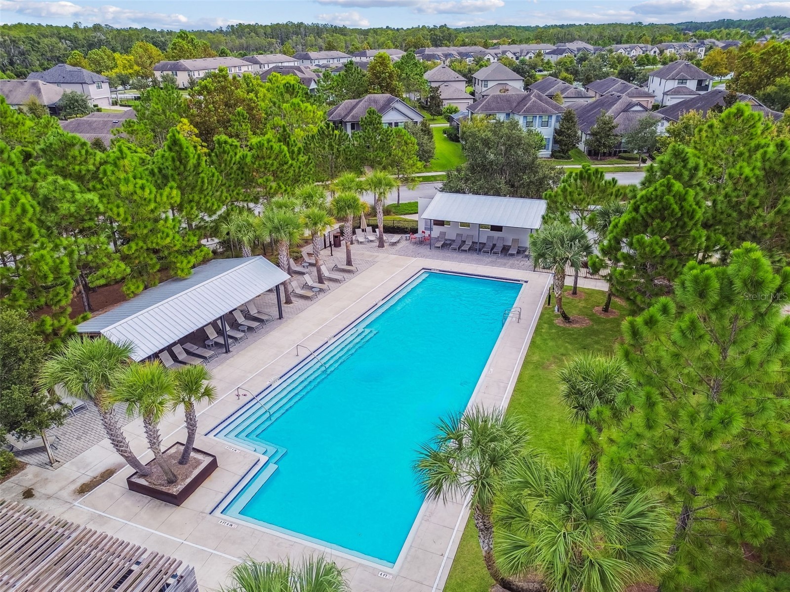 4051 Mellon Drive Odessa FL 33556 W7884830 image89