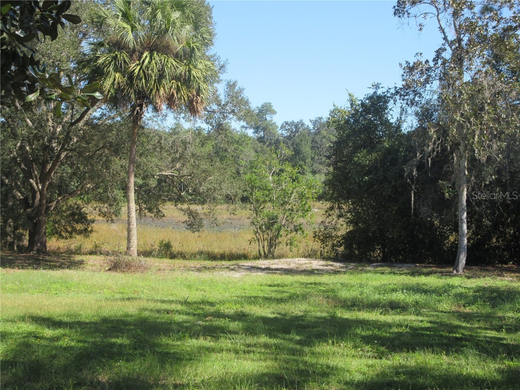 4051 N Highway 314a Silver Springs FL 34488 OM711383 image5