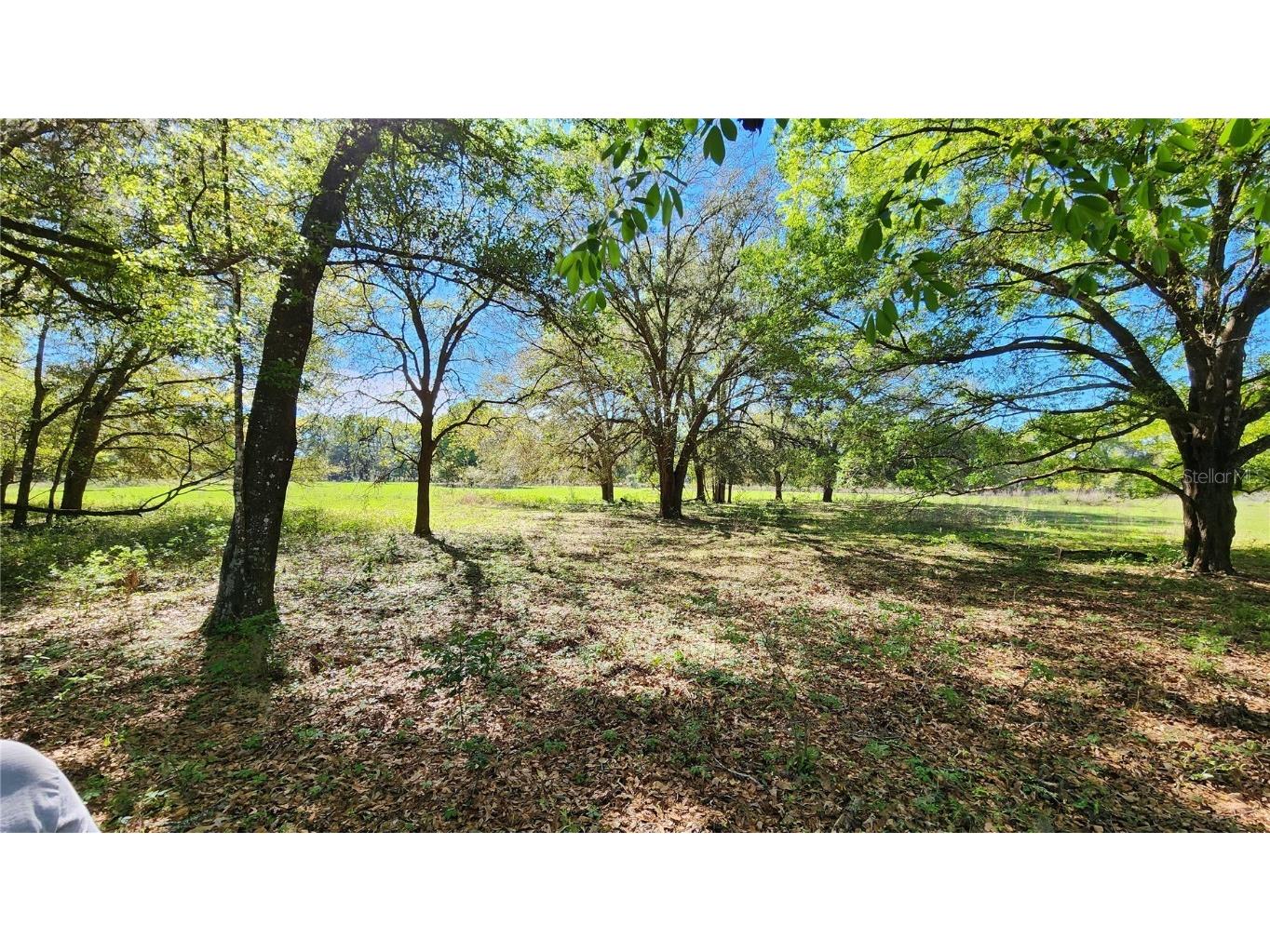 4052 - A SE October Road Lake City FL 32025 GC528617 image1