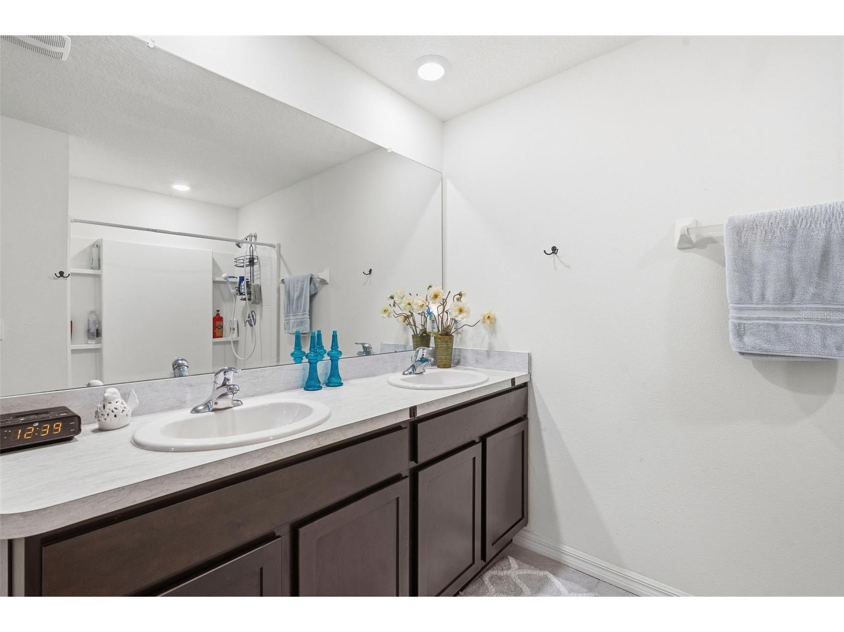 4052 Autumn Amber Drive Spring Hill FL 34609 W7887132 image30