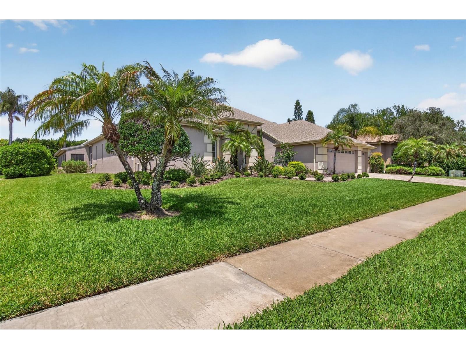 4052 Capitol Drive Palm Harbor FL 34685 TB8492690 image10