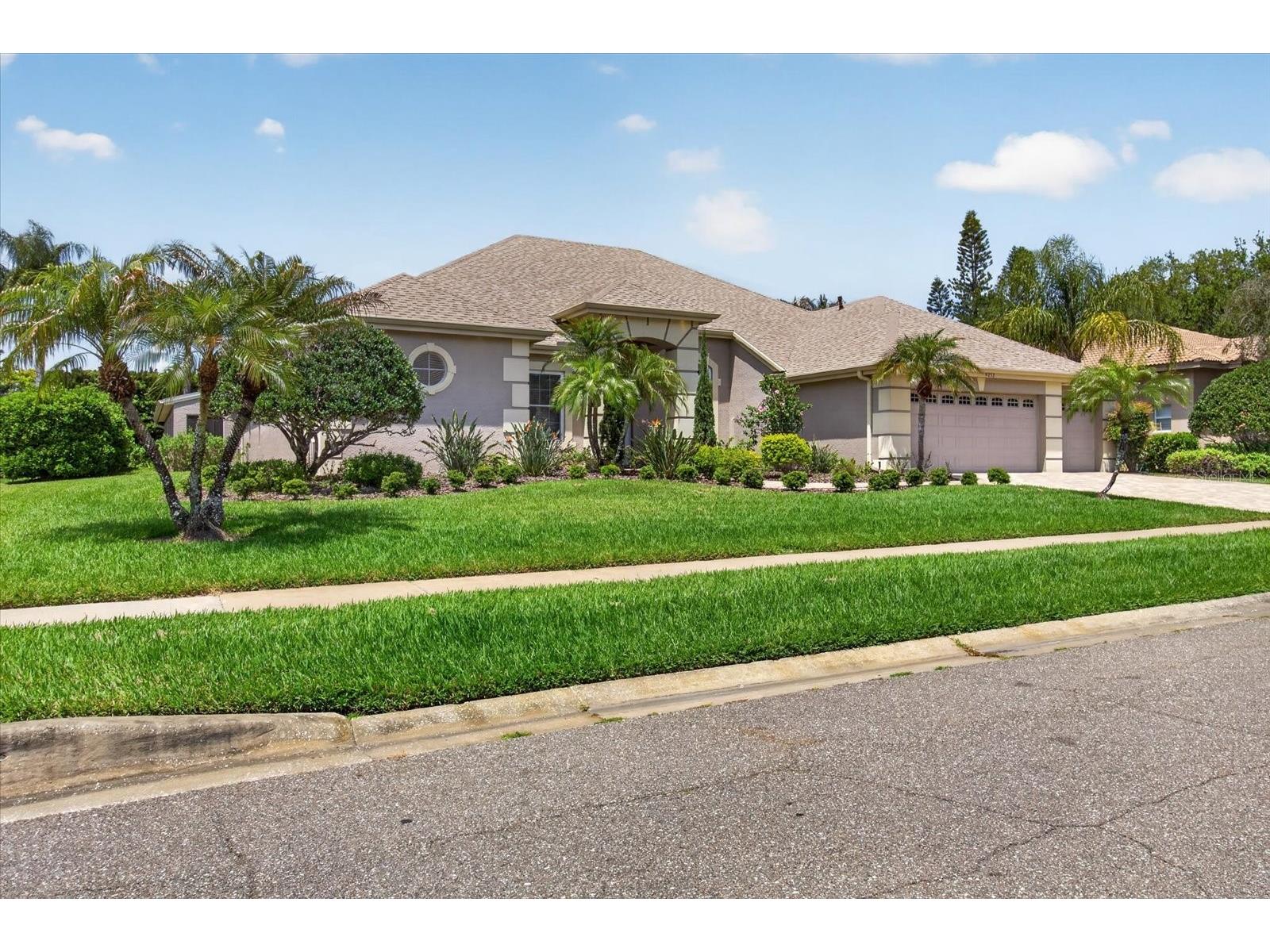4052 Capitol Drive Palm Harbor FL 34685 TB8492690 image11