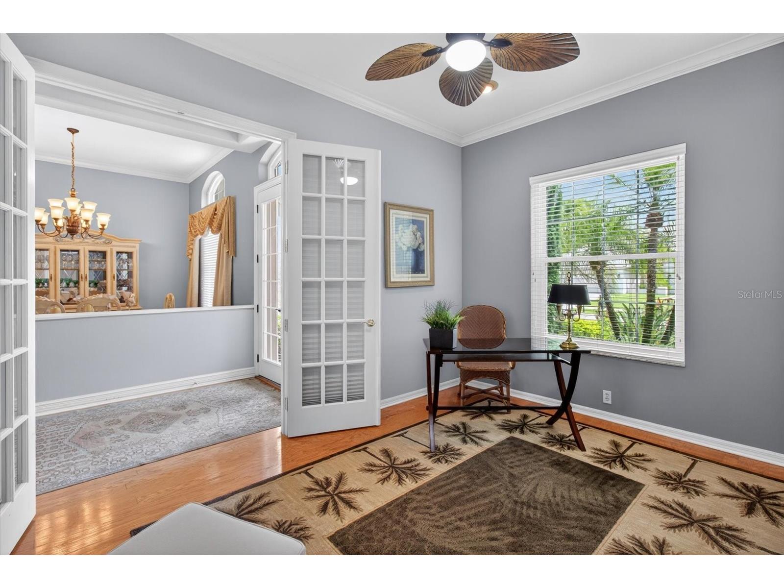 4052 Capitol Drive Palm Harbor FL 34685 TB8492690 image18