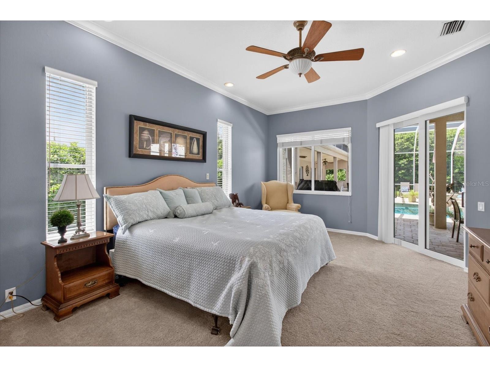 4052 Capitol Drive Palm Harbor FL 34685 TB8492690 image23