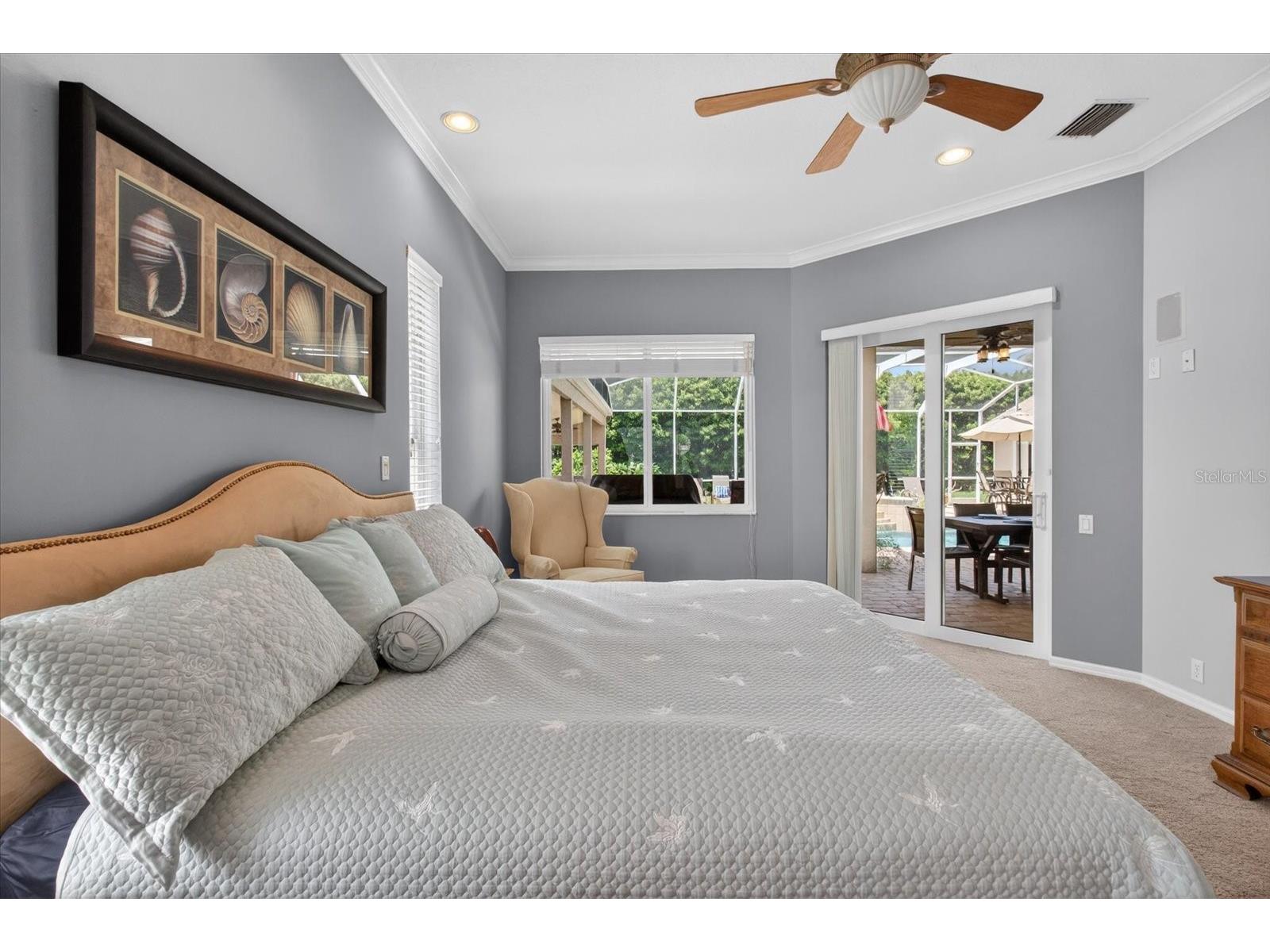 4052 Capitol Drive Palm Harbor FL 34685 TB8492690 image24