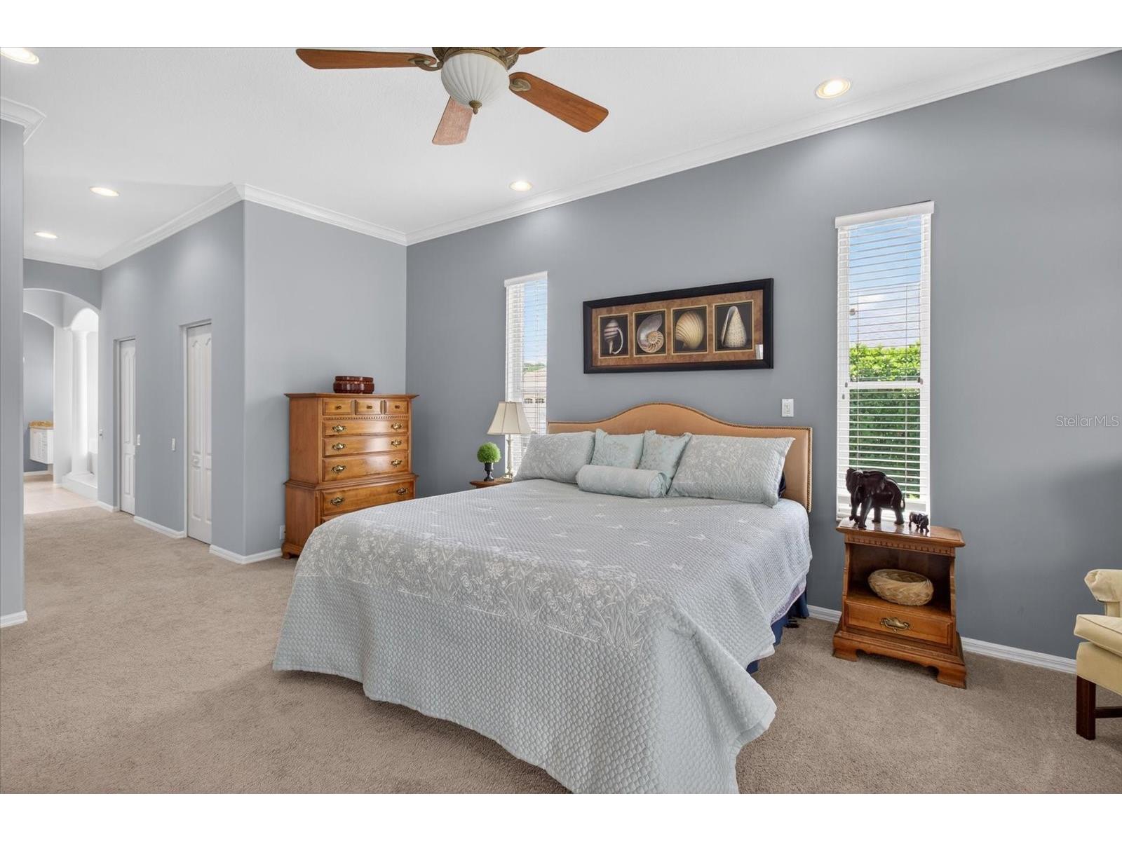 4052 Capitol Drive Palm Harbor FL 34685 TB8492690 image25