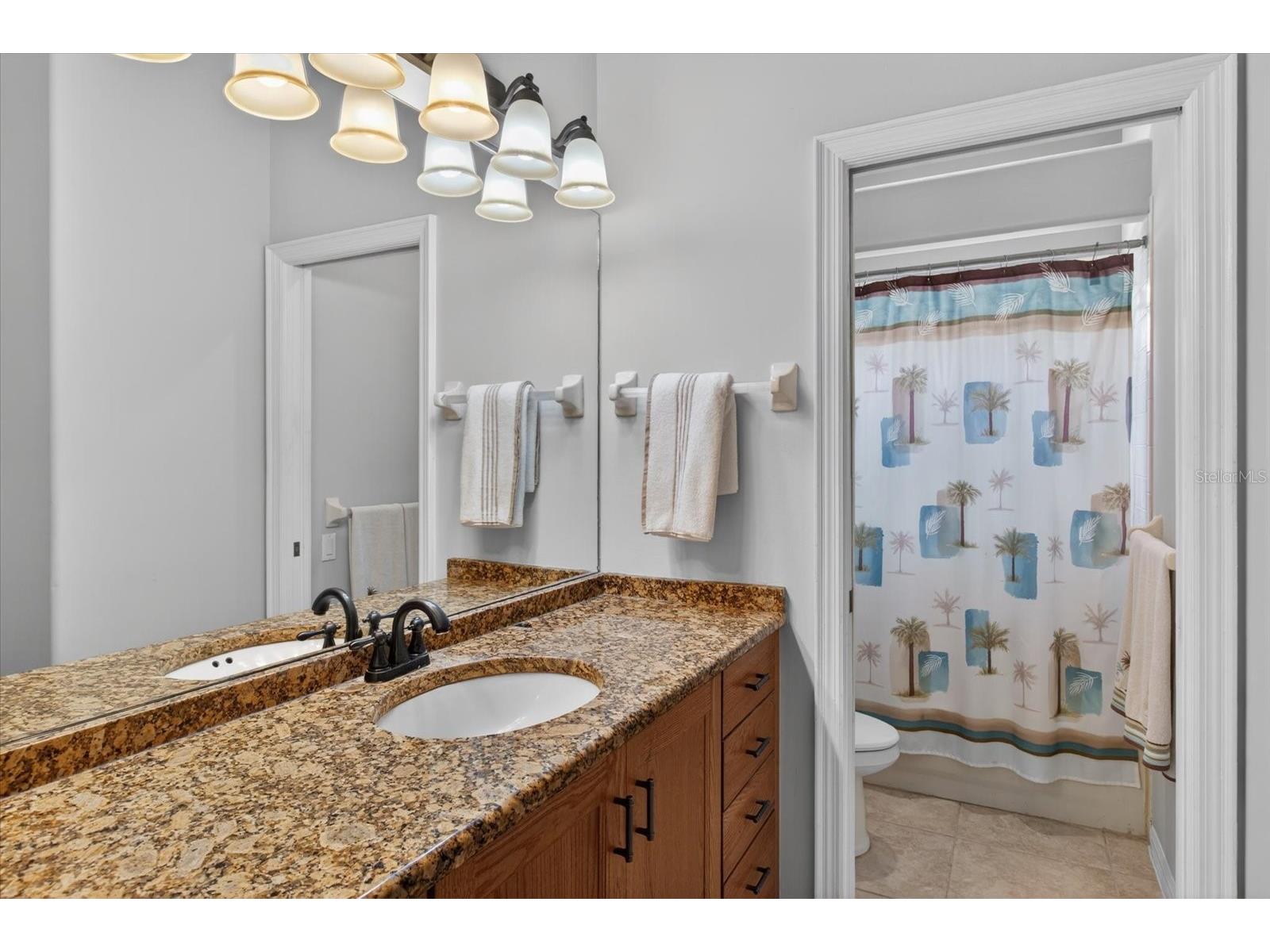 4052 Capitol Drive Palm Harbor FL 34685 TB8492690 image46