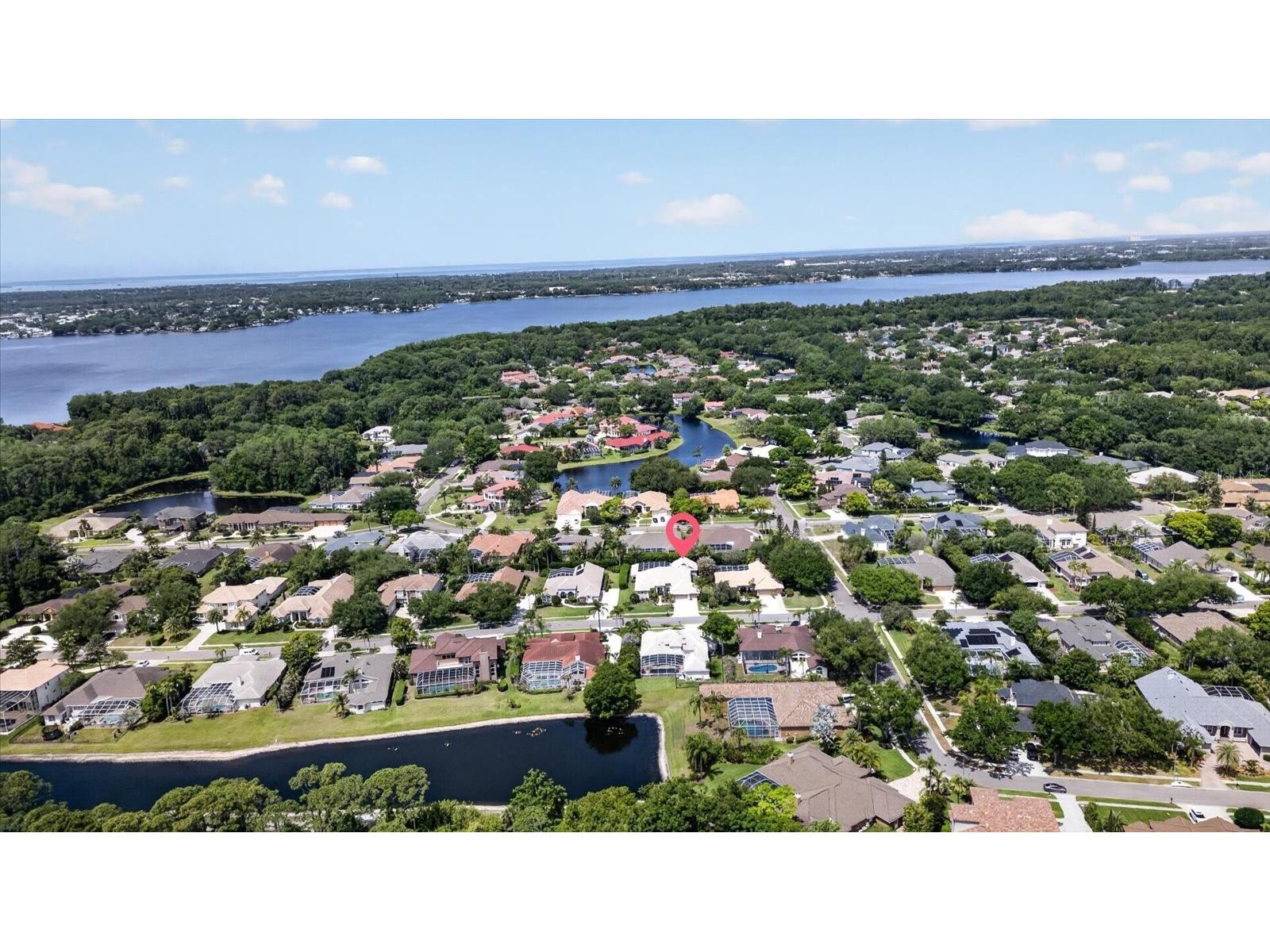 4052 Capitol Drive Palm Harbor FL 34685 TB8492690 image5