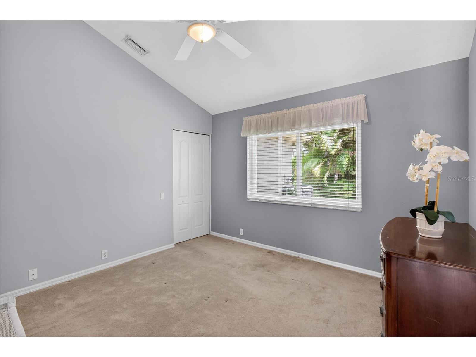 4052 Capitol Drive Palm Harbor FL 34685 TB8492690 image50