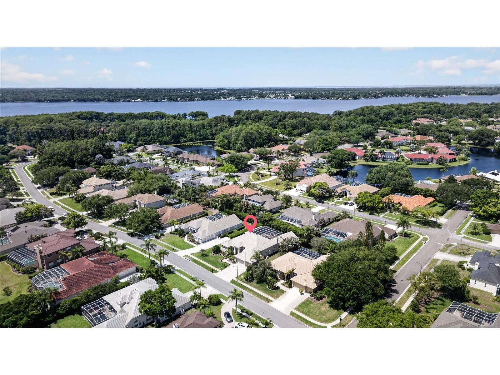 4052 Capitol Drive Palm Harbor FL 34685 TB8492690 image6