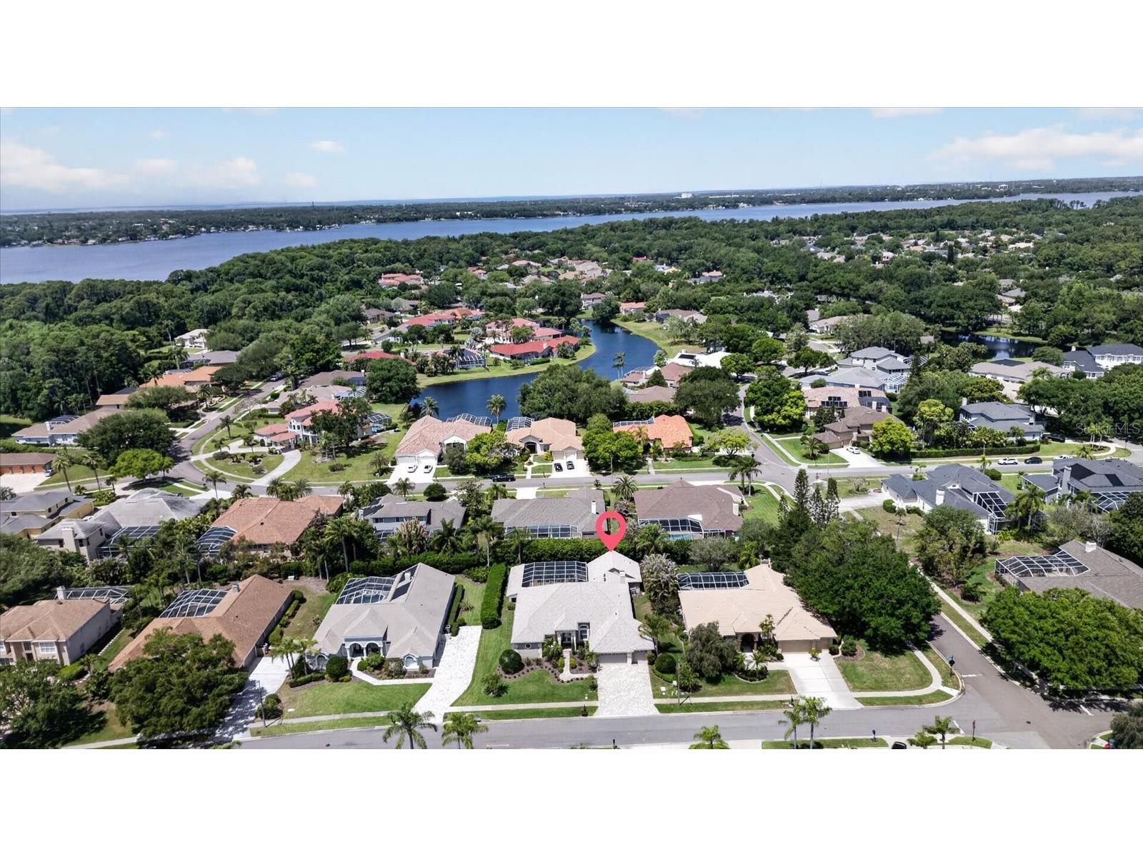 4052 Capitol Drive Palm Harbor FL 34685 TB8492690 image7
