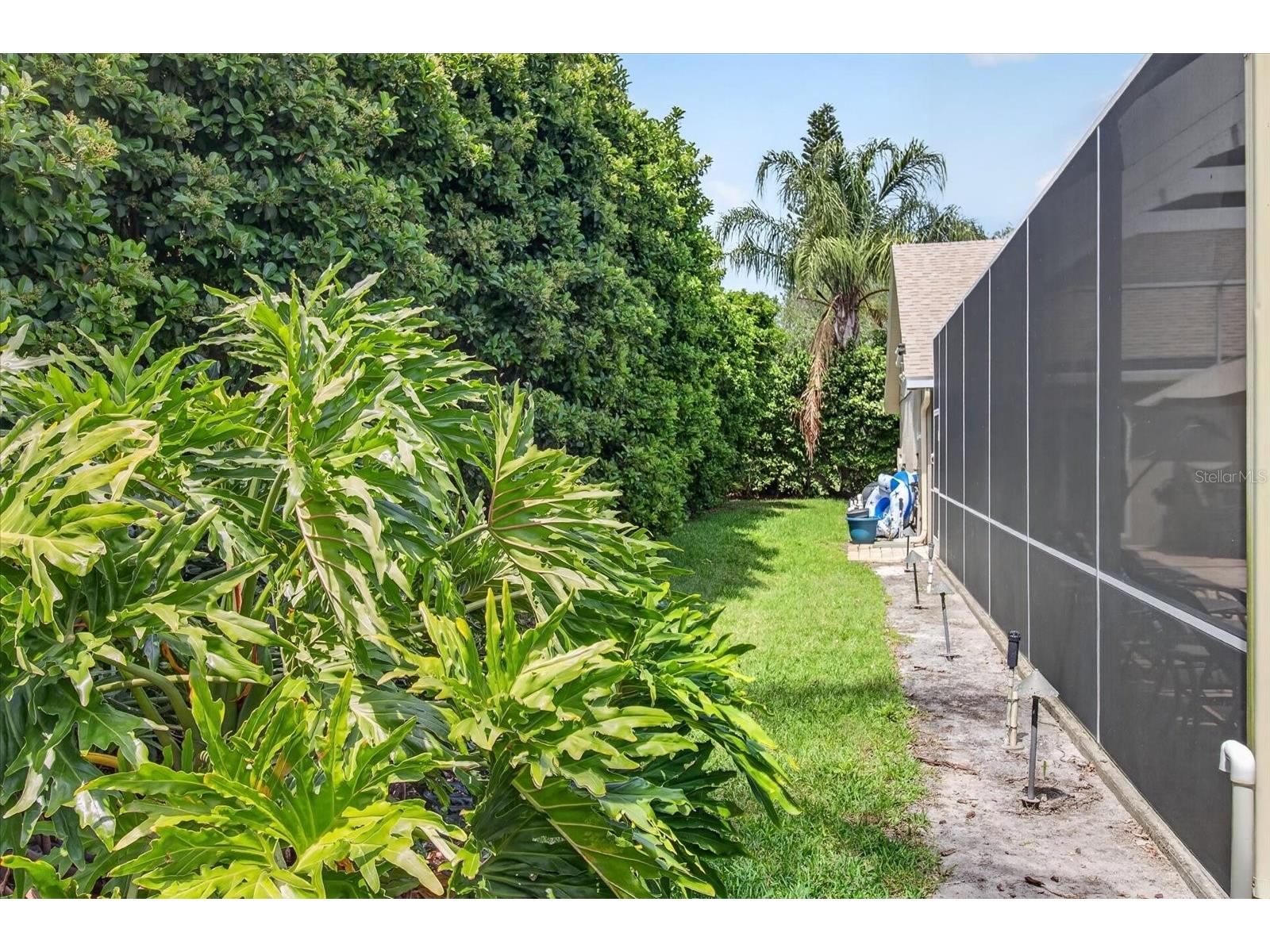 4052 Capitol Drive Palm Harbor FL 34685 TB8492690 image72