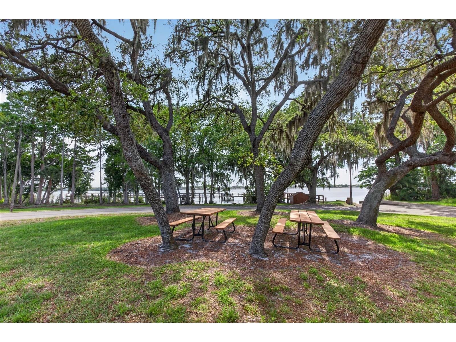 4052 Capitol Drive Palm Harbor FL 34685 TB8492690 image76