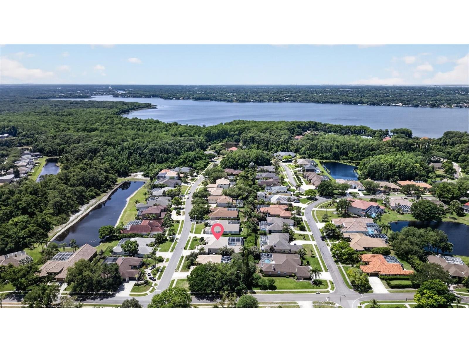 4052 Capitol Drive Palm Harbor FL 34685 TB8492690 image8