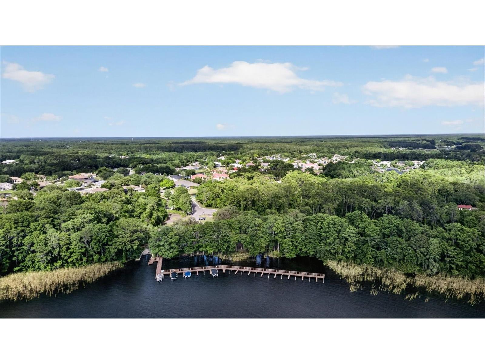 4052 Capitol Drive Palm Harbor FL 34685 TB8492690 image80