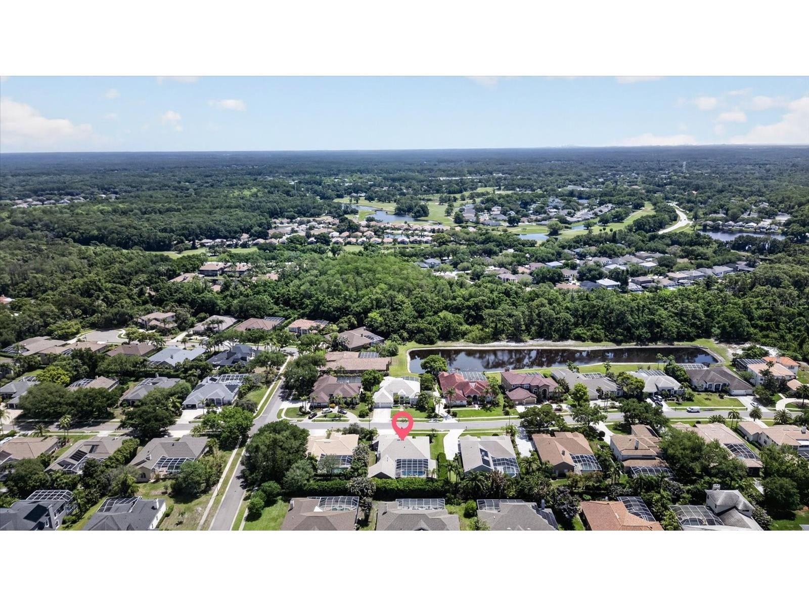 4052 Capitol Drive Palm Harbor FL 34685 TB8492690 image81