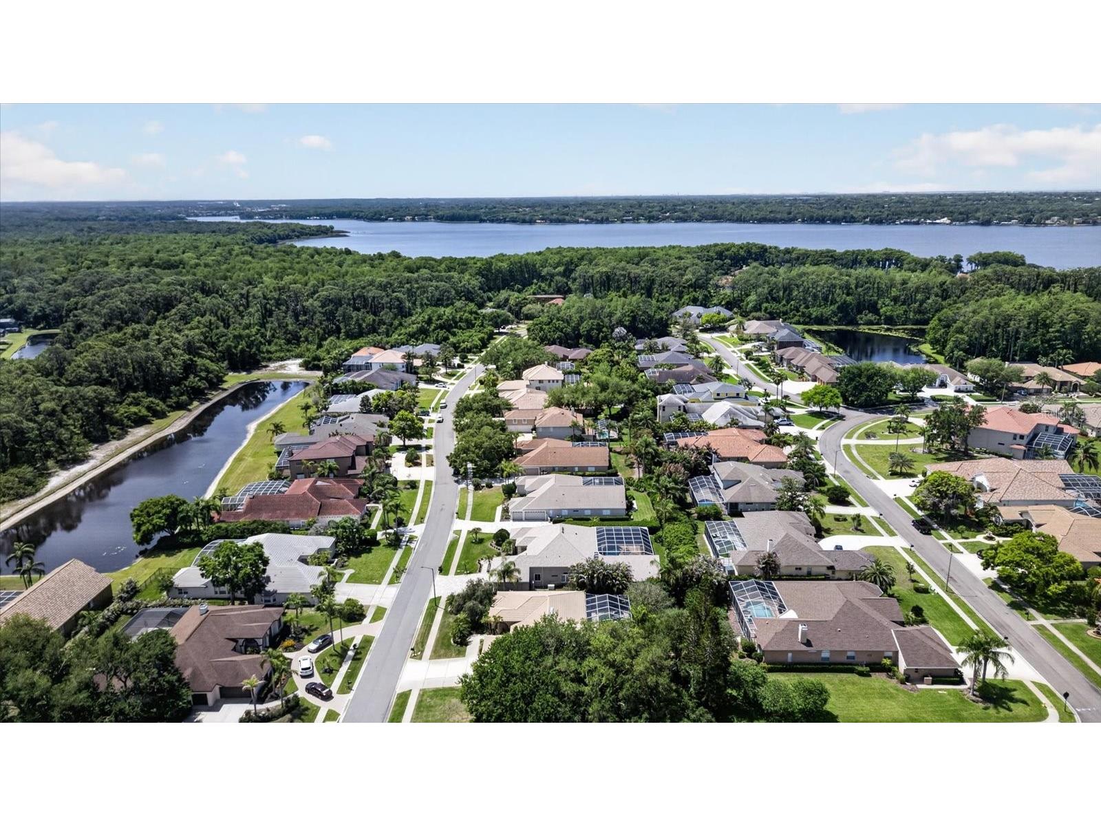4052 Capitol Drive Palm Harbor FL 34685 TB8492690 image82