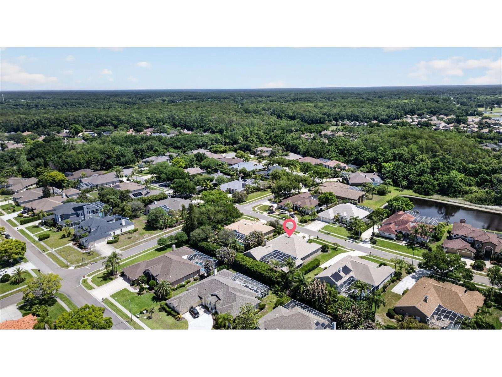 4052 Capitol Drive Palm Harbor FL 34685 TB8492690 image83