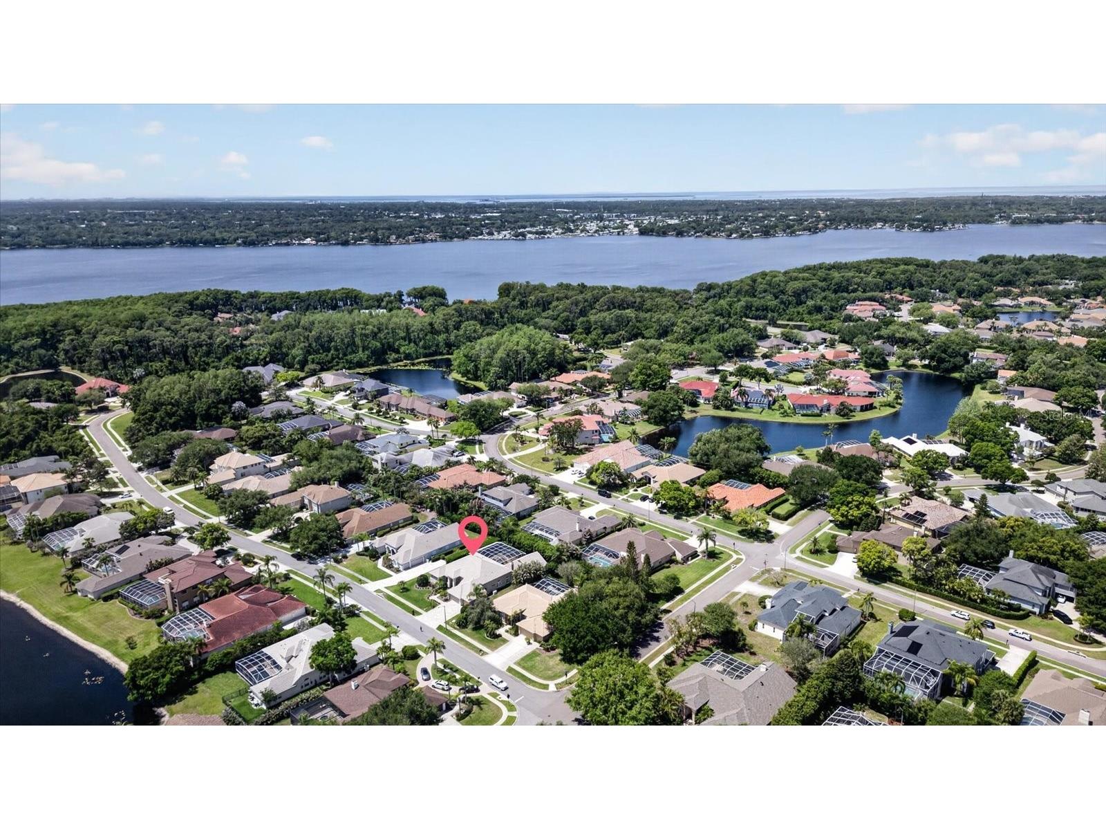 4052 Capitol Drive Palm Harbor FL 34685 TB8492690 image84