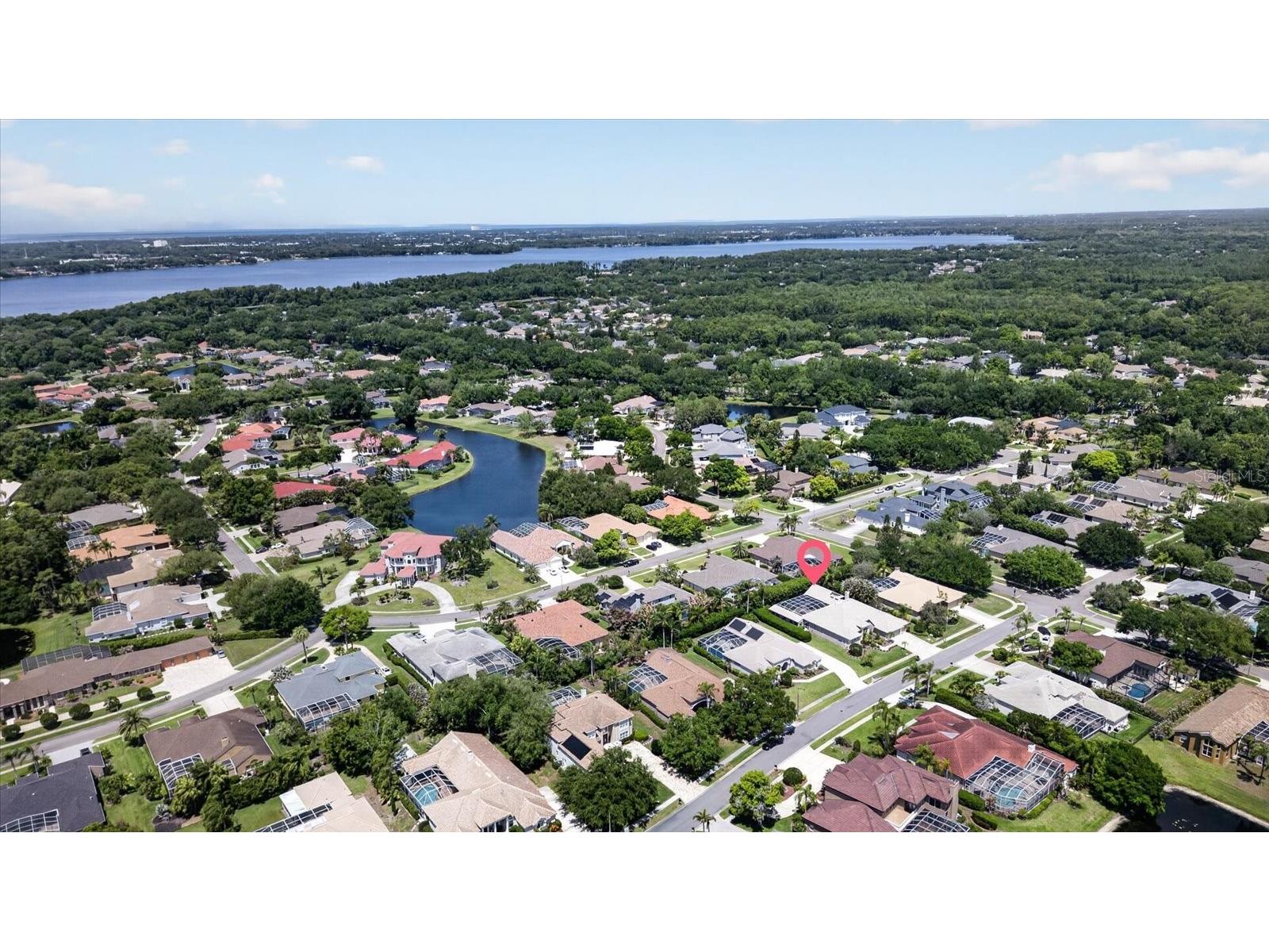 4052 Capitol Drive Palm Harbor FL 34685 TB8492690 image85