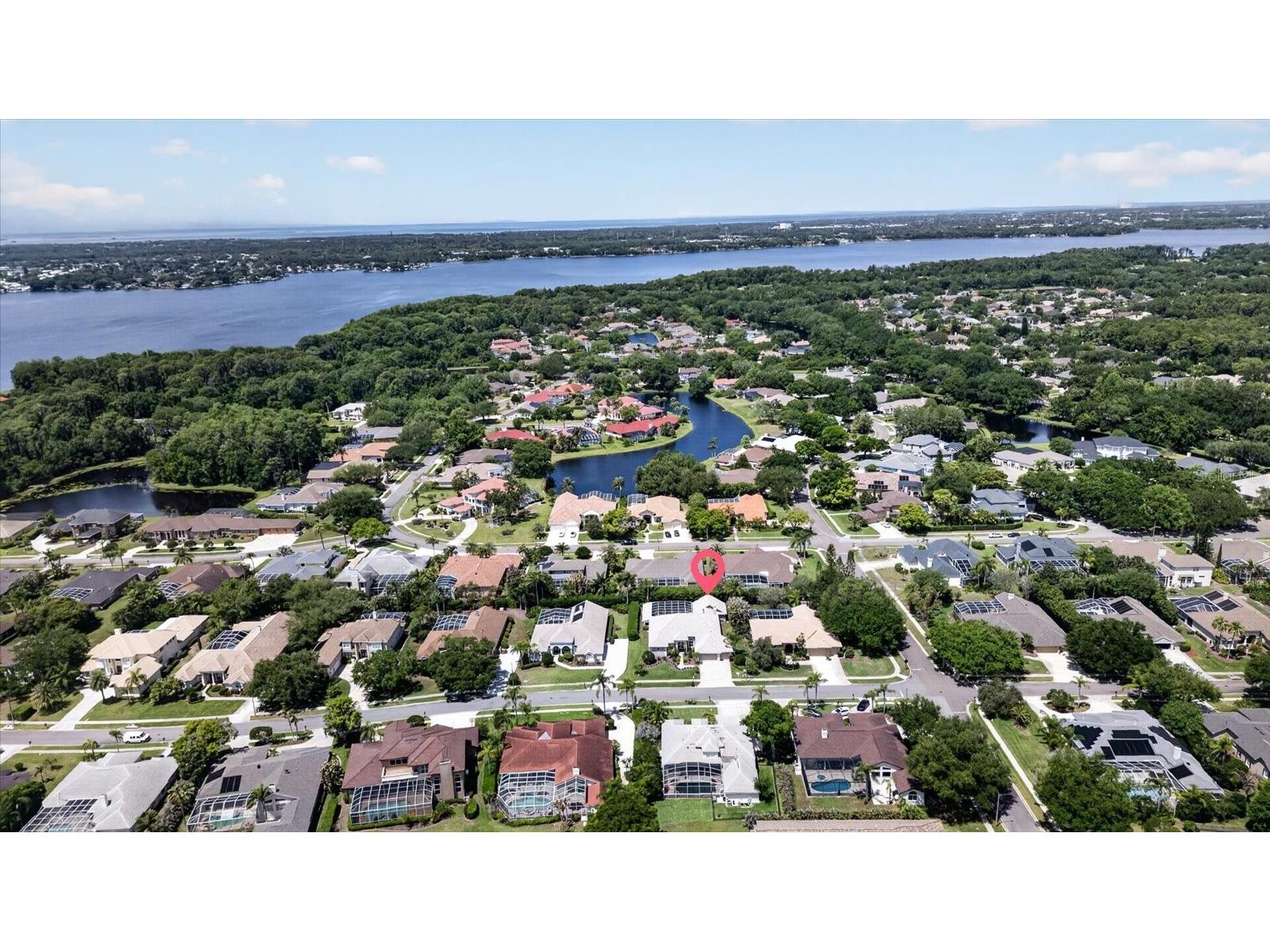 4052 Capitol Drive Palm Harbor FL 34685 TB8492690 image86