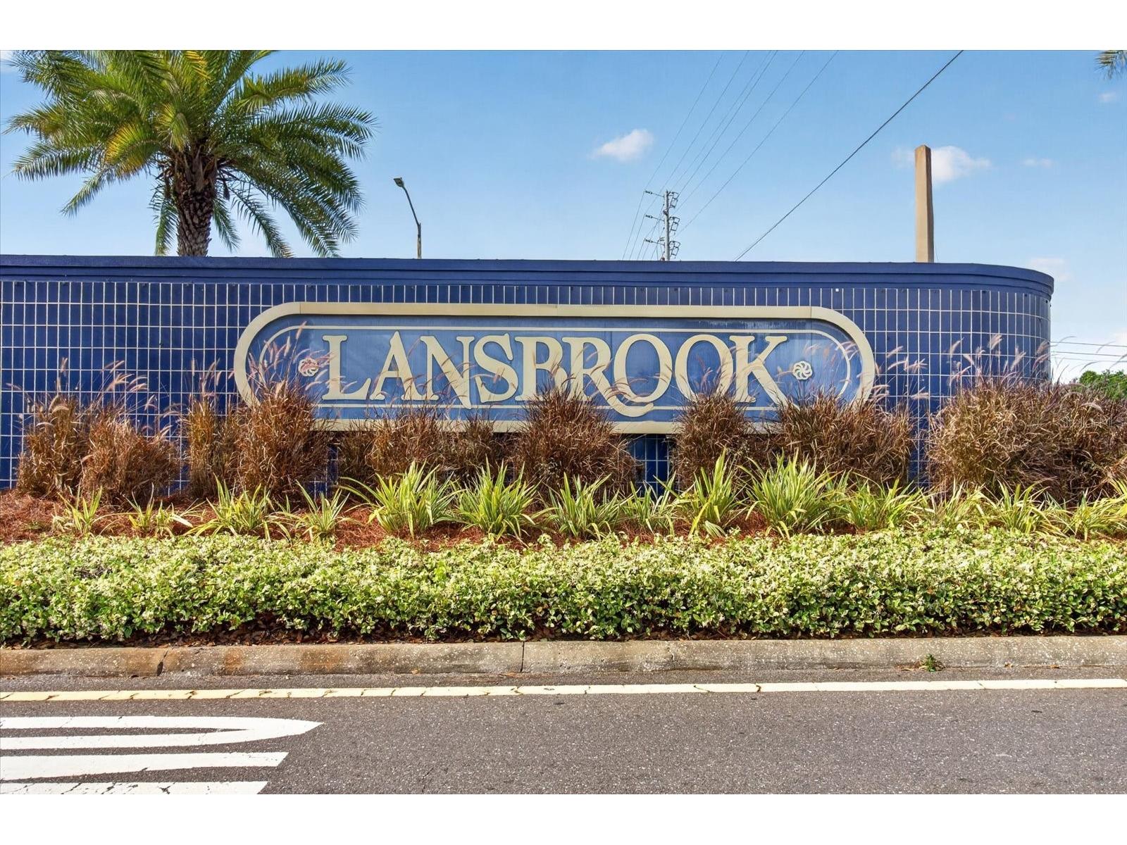 4052 Capitol Drive Palm Harbor FL 34685 TB8492690 image87