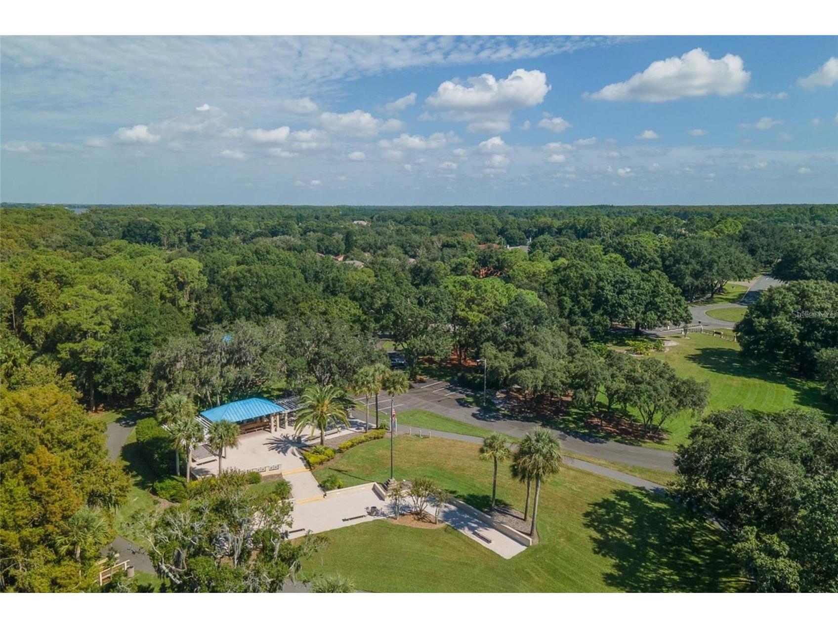4052 Capitol Drive Palm Harbor FL 34685 TB8492690 image88