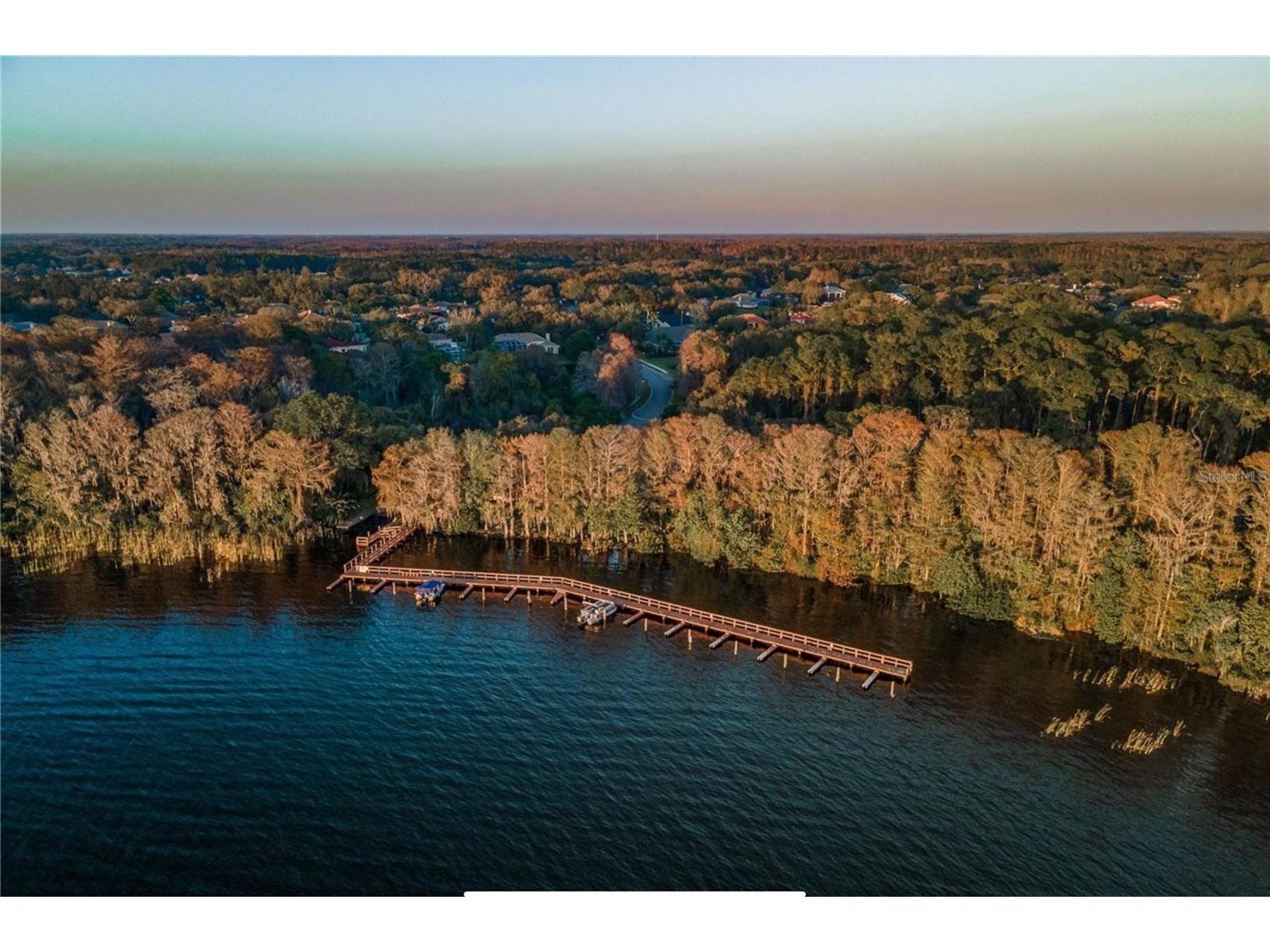 4052 Capitol Drive Palm Harbor FL 34685 TB8492690 image91