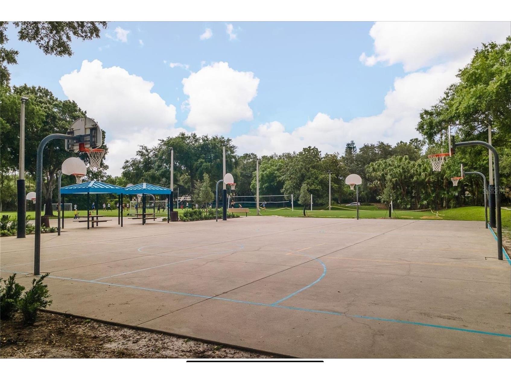 4052 Capitol Drive Palm Harbor FL 34685 TB8492690 image94