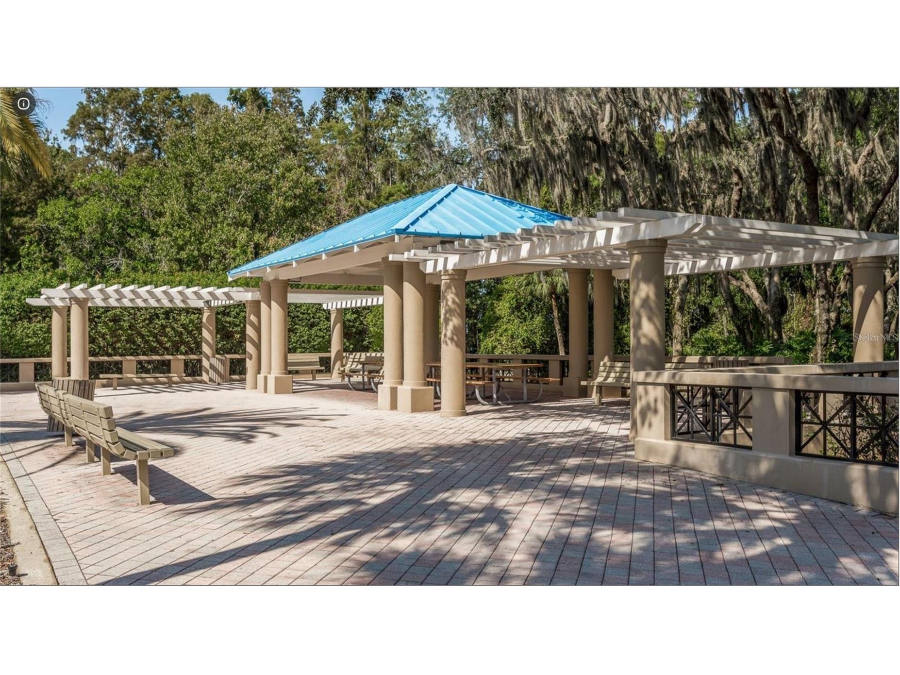4052 Capitol Drive Palm Harbor FL 34685 TB8492690 image95