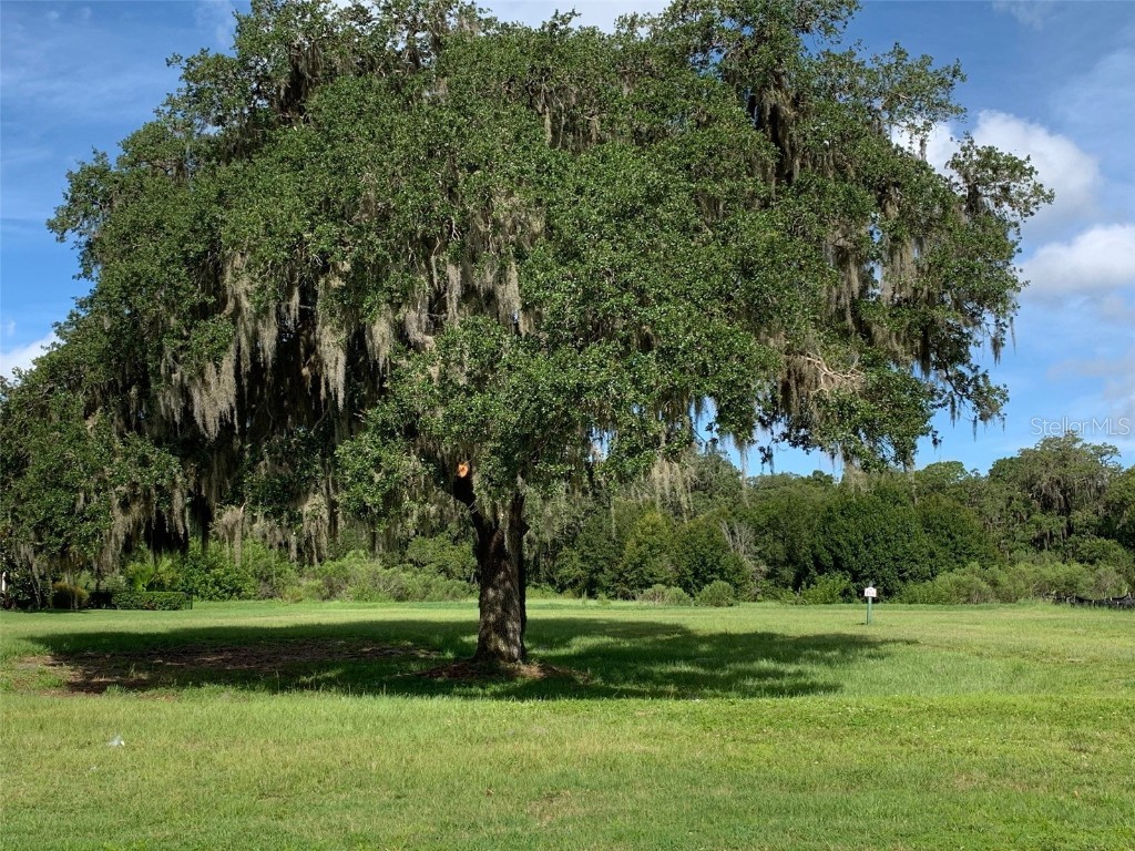 4052 Founders Club Drive Sarasota FL 34240 A4504817 image2