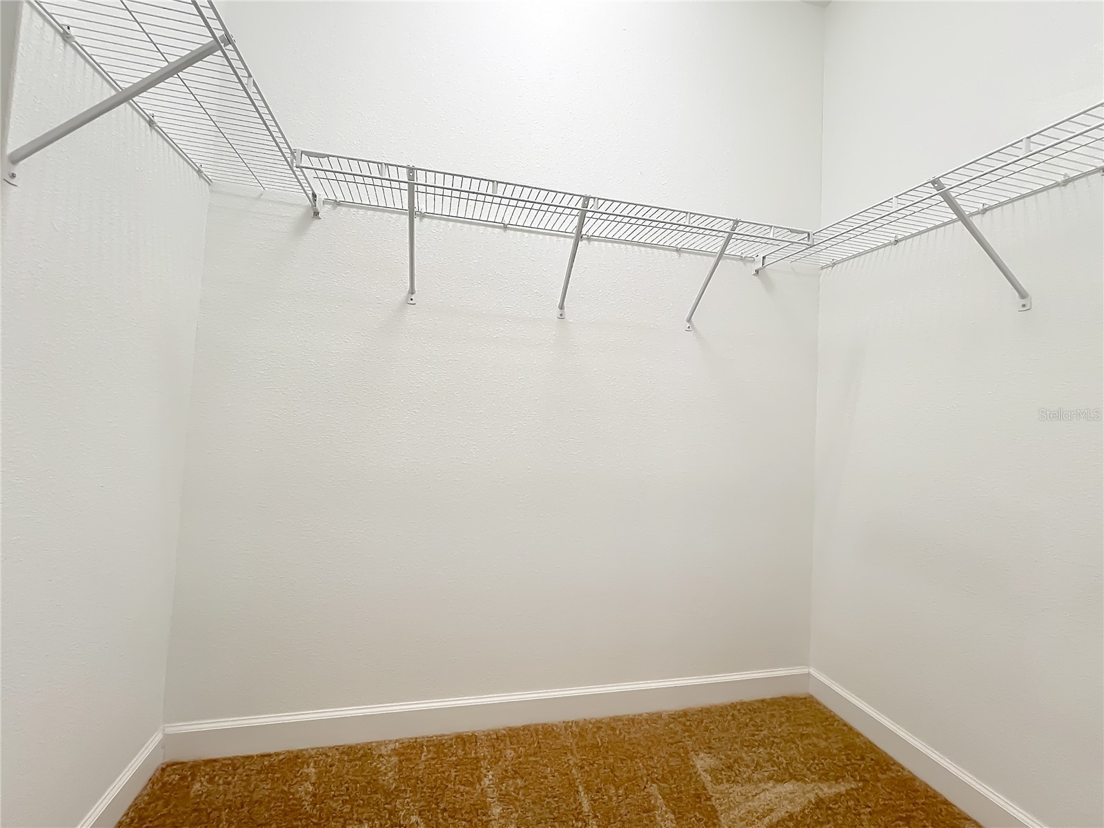 4052 Serena Lane Clermont FL 34711 O6392318 image34