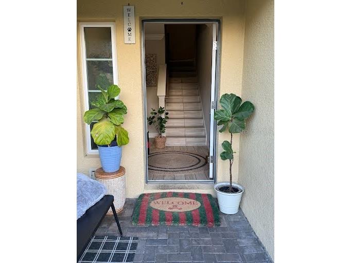 4053 Rocky Shores Dr Tampa FL 33634 TB8373777 image2