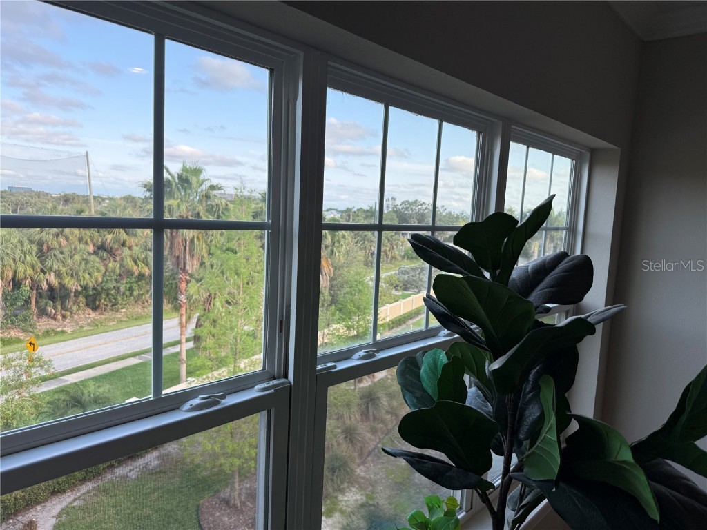 4053 Rocky Shores Dr Tampa FL 33634 TB8373777 image21