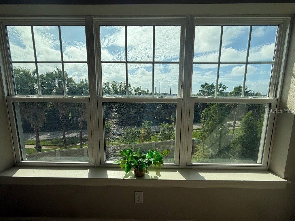 4053 Rocky Shores Dr Tampa FL 33634 TB8373777 image43