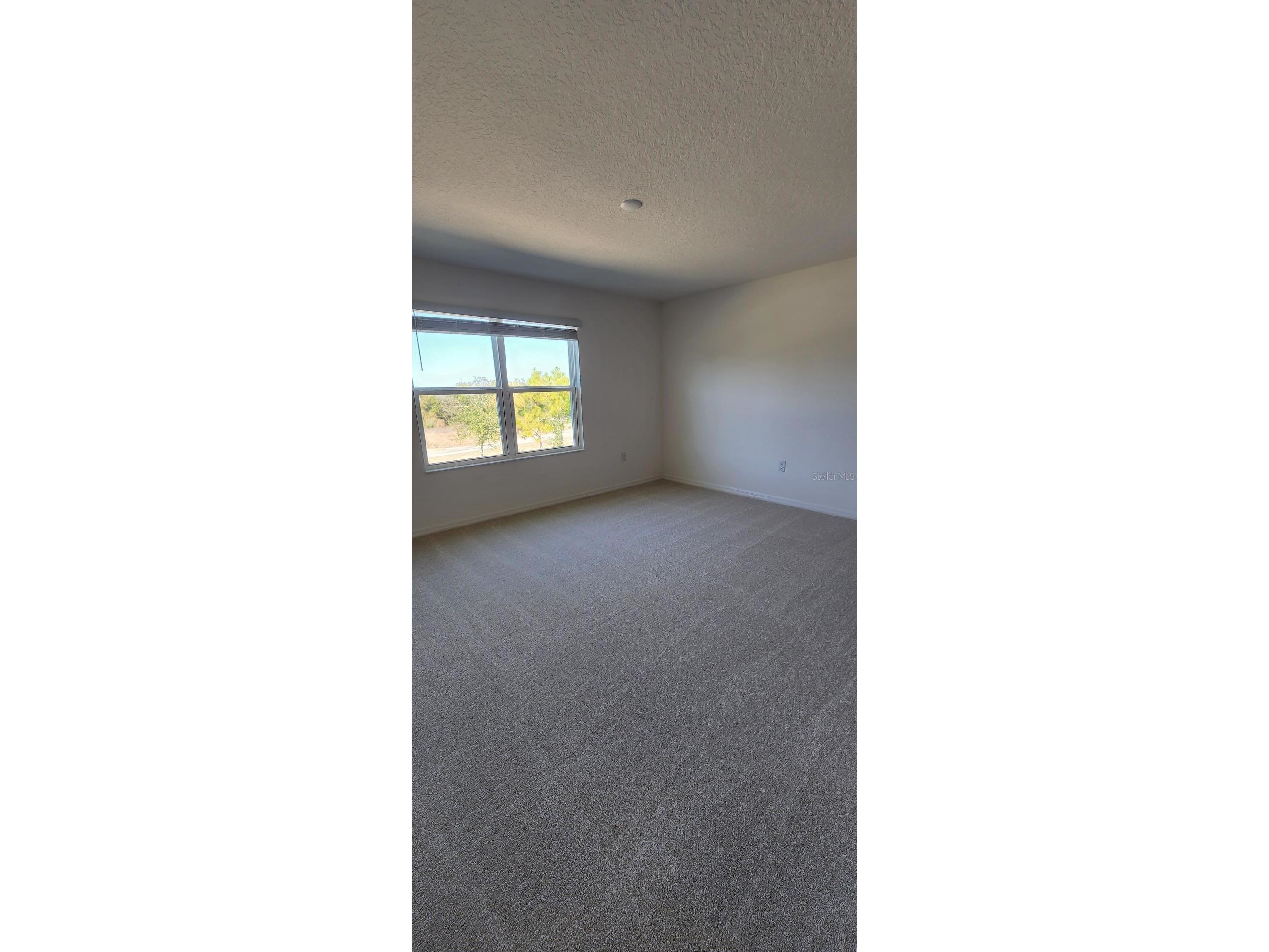 4053 Serene Water Avenue Eustis FL 32736 O6381728 image10