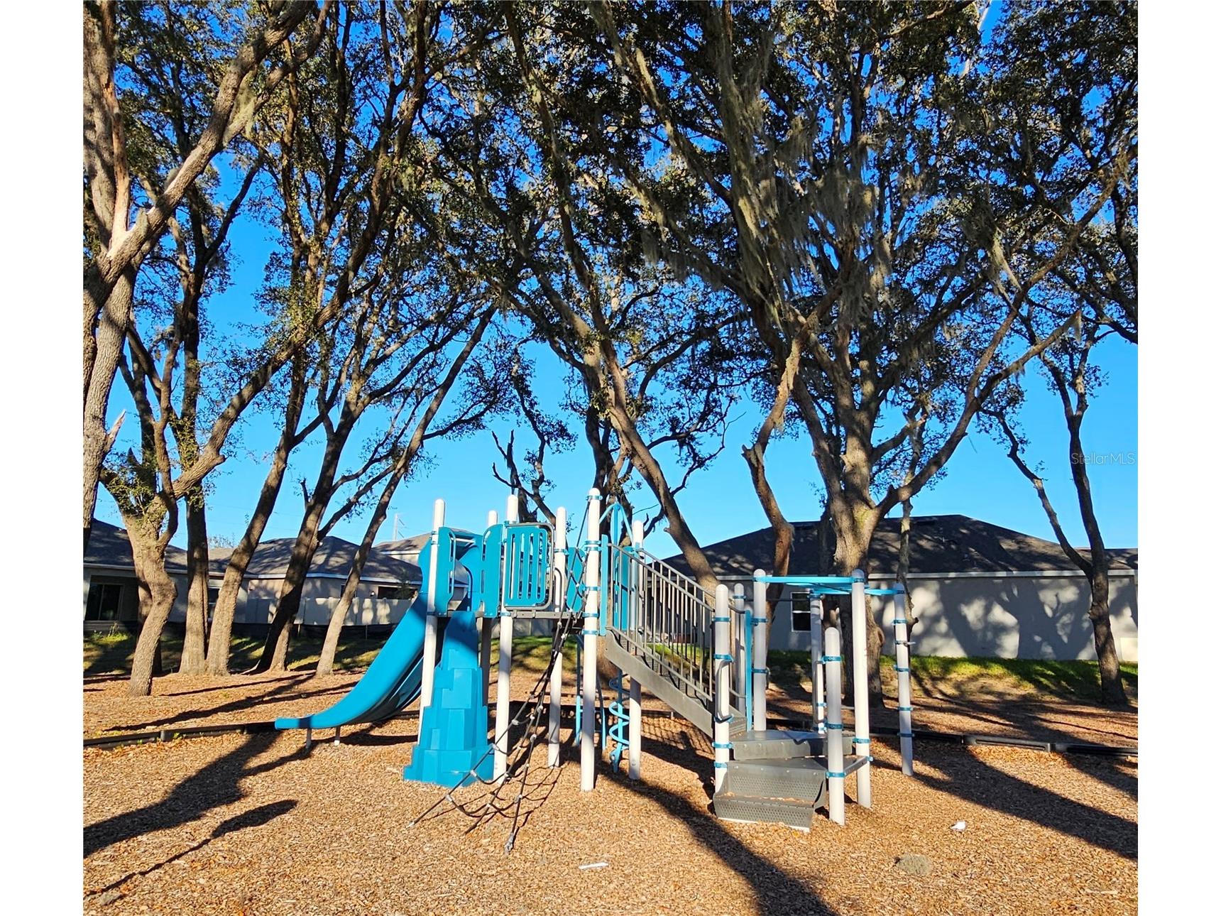 4053 Serene Water Avenue Eustis FL 32736 O6381728 image18