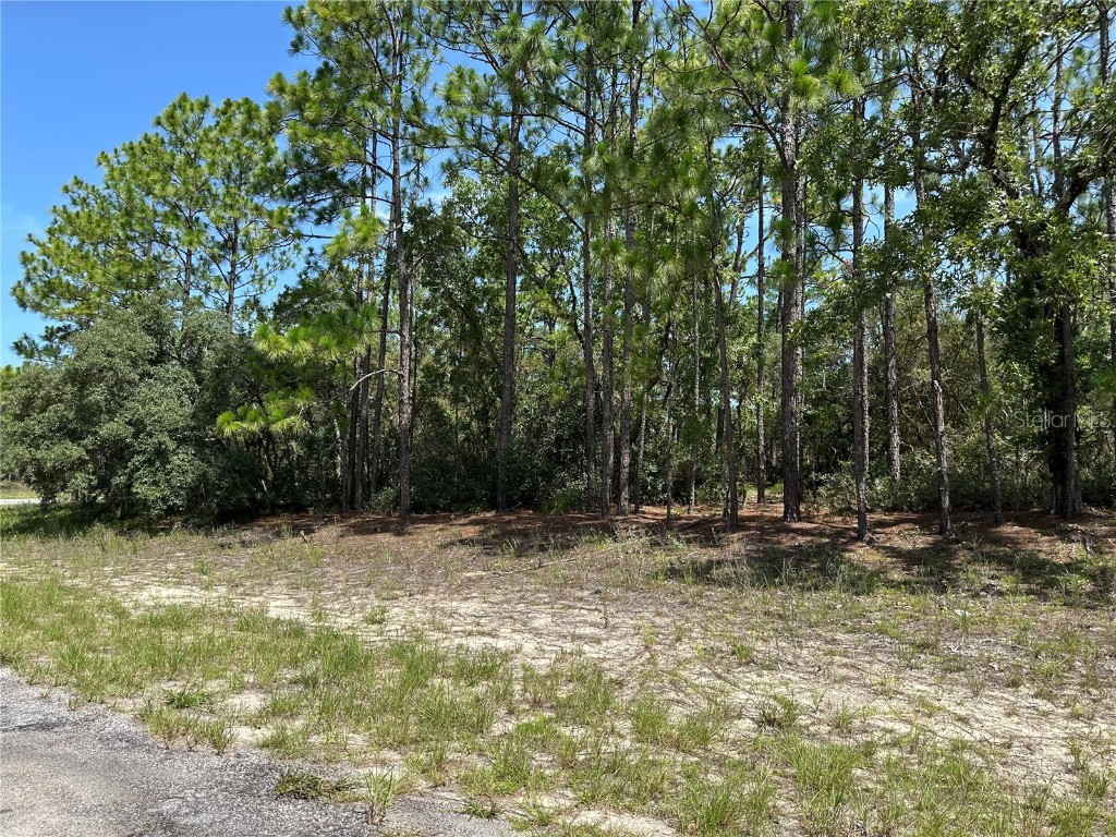 4053 W Firewood Loop Citrus Springs FL 34433 OM705269 image1