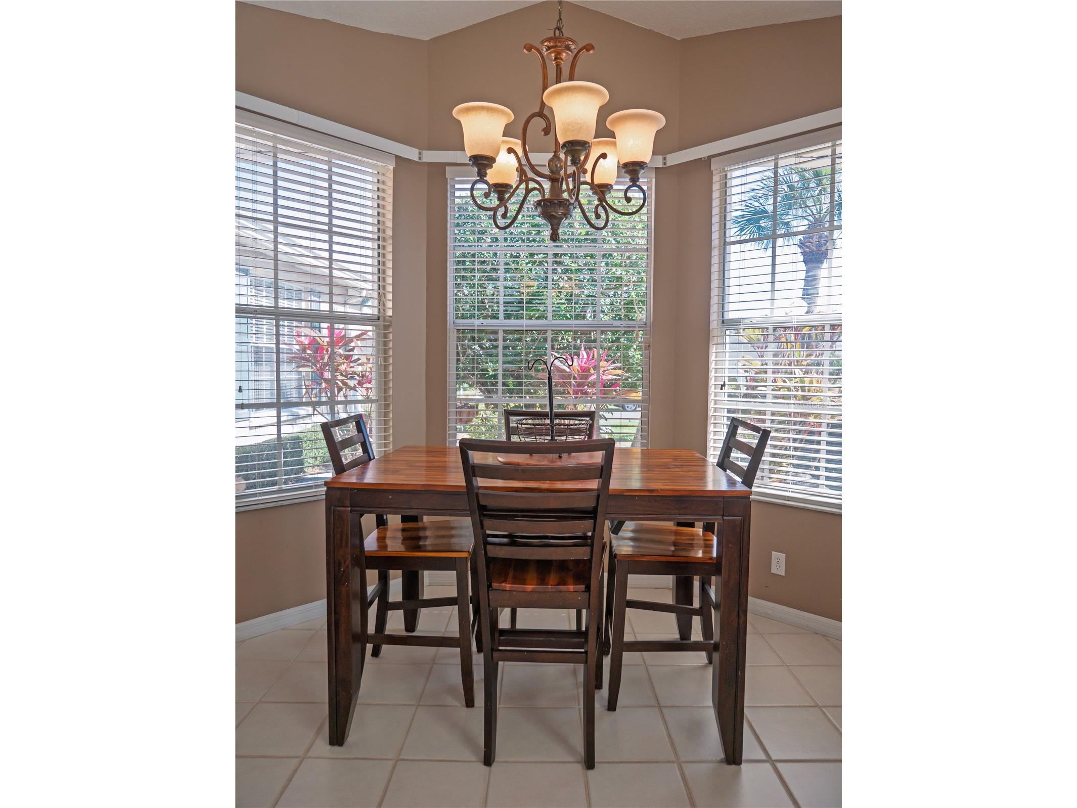 4054 Caddie Drive E Bradenton FL 34203 TB8471549 image19