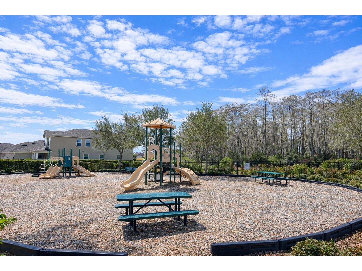 4054 Pindo Palm Ln Orlando FL 32824 O6387504 image33