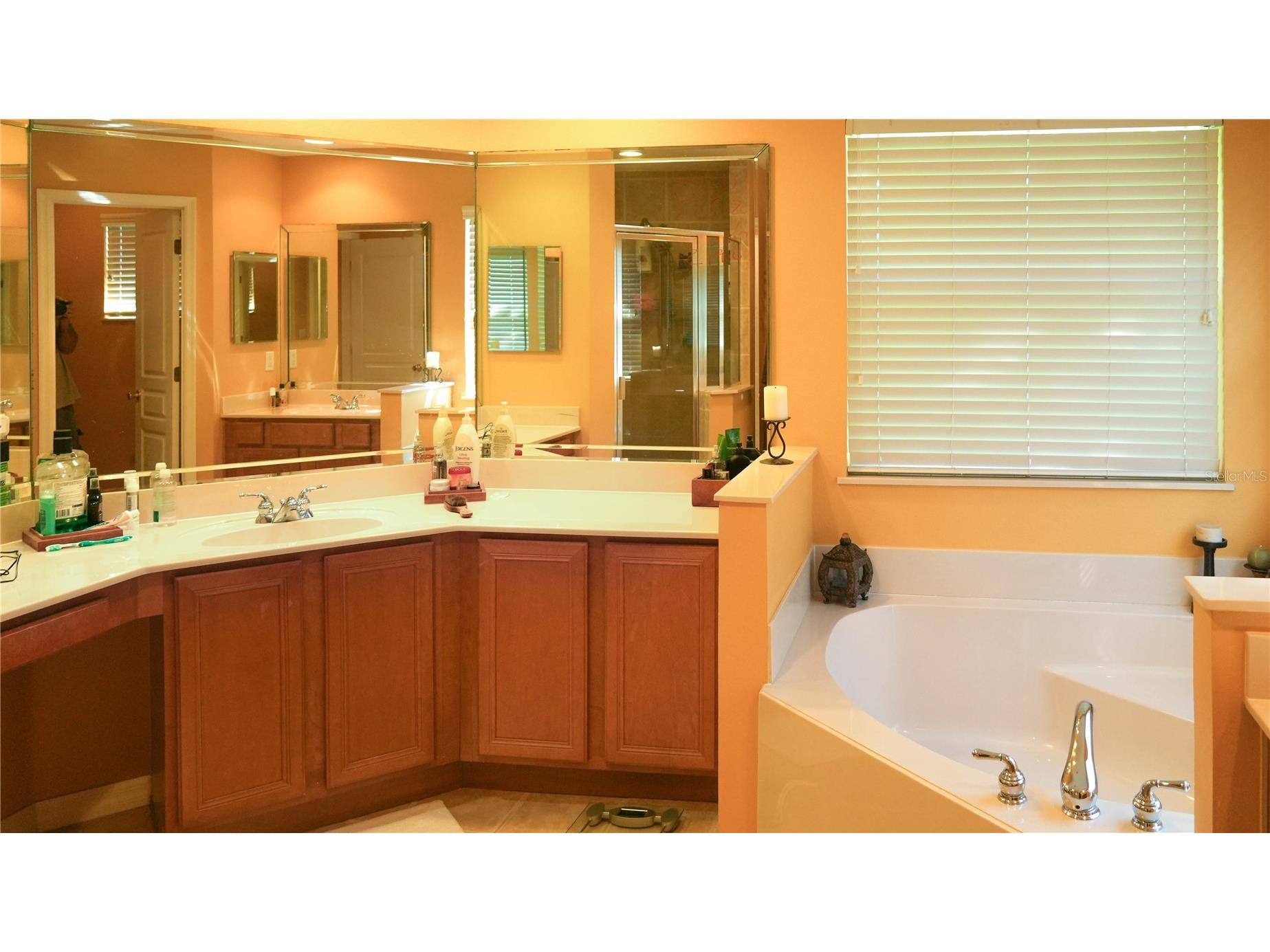4055 Beacon Ridge Way Clermont FL 34711 R4910582 image12