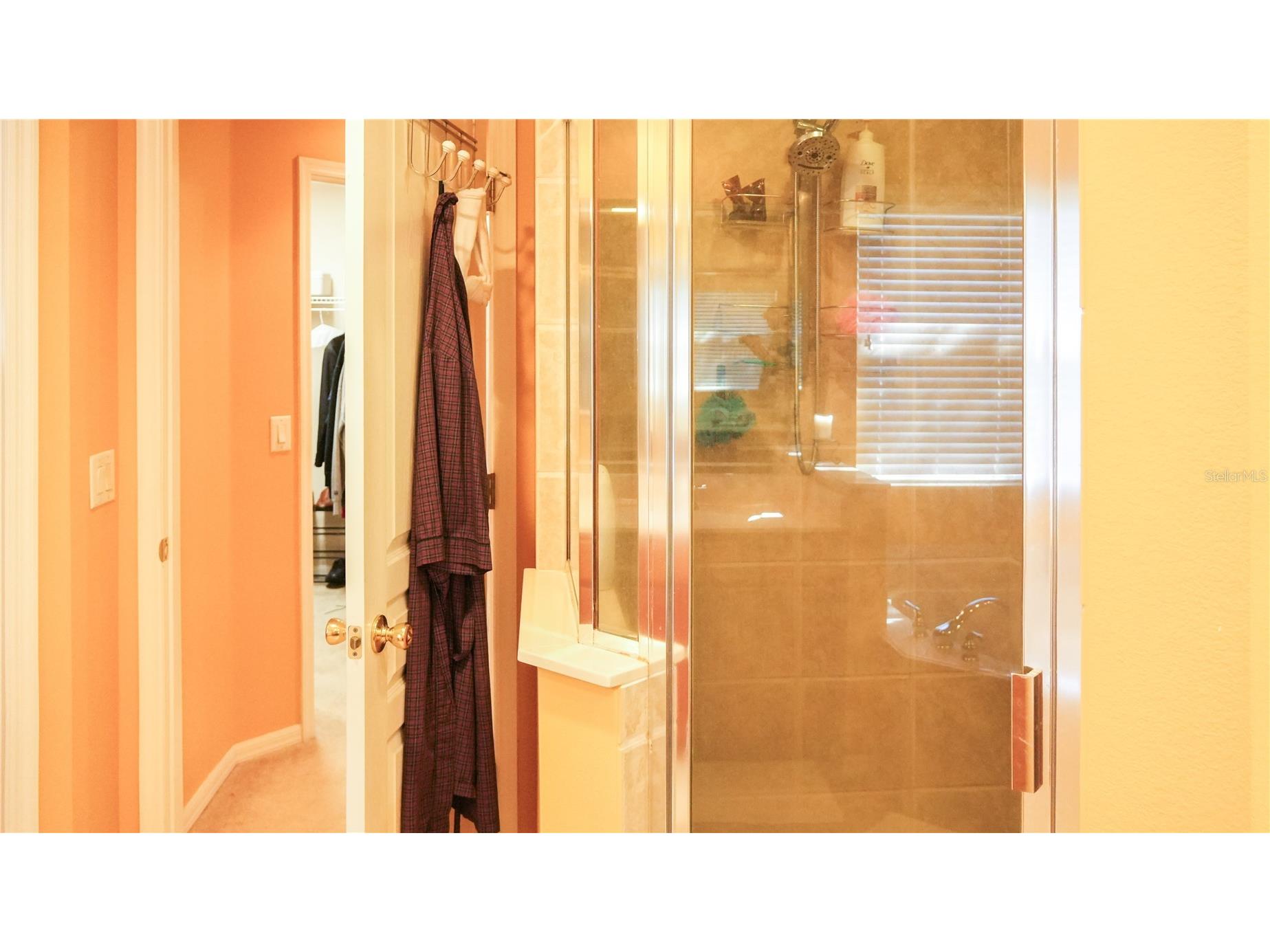 4055 Beacon Ridge Way Clermont FL 34711 R4910582 image13